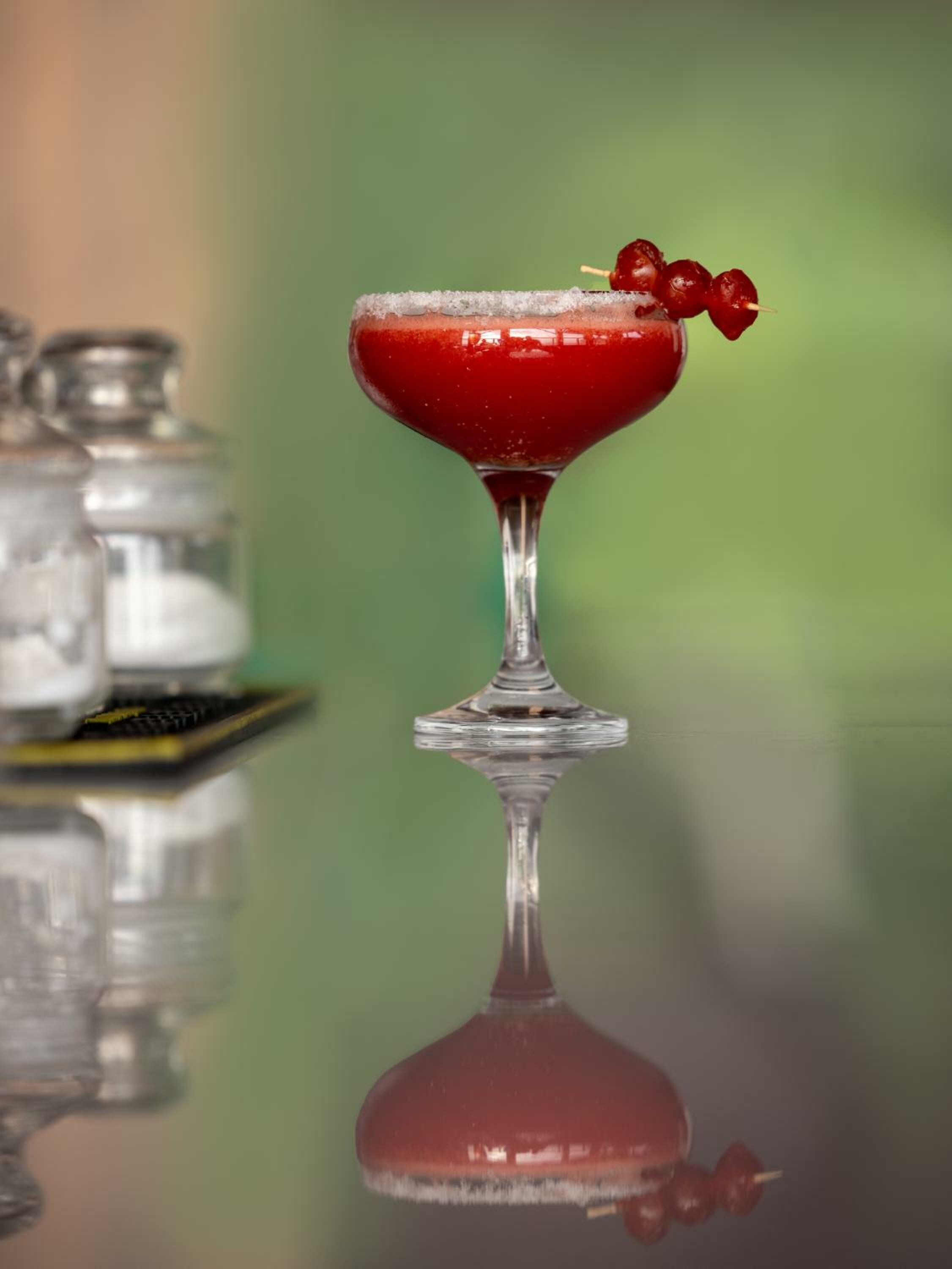 Turtle Signature Suite