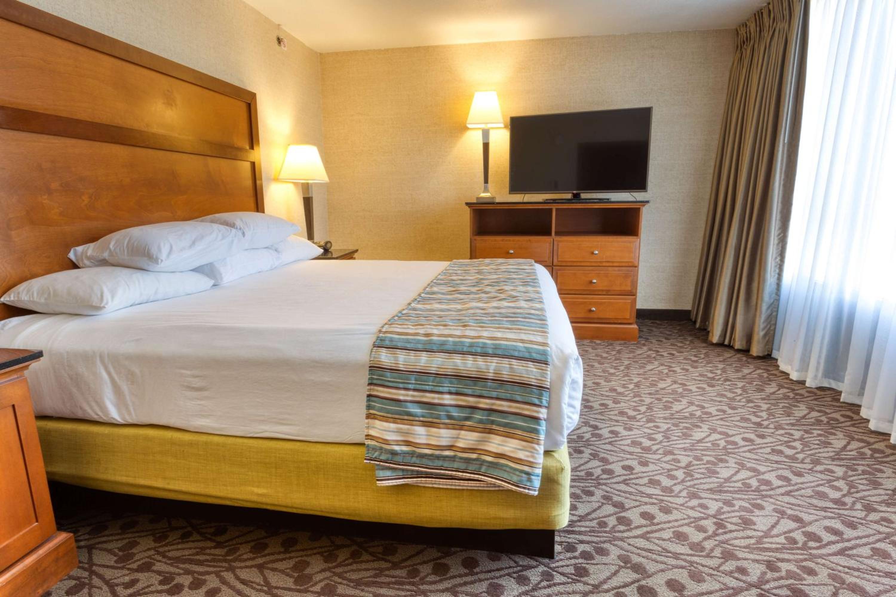King Suite with Sofa Bed