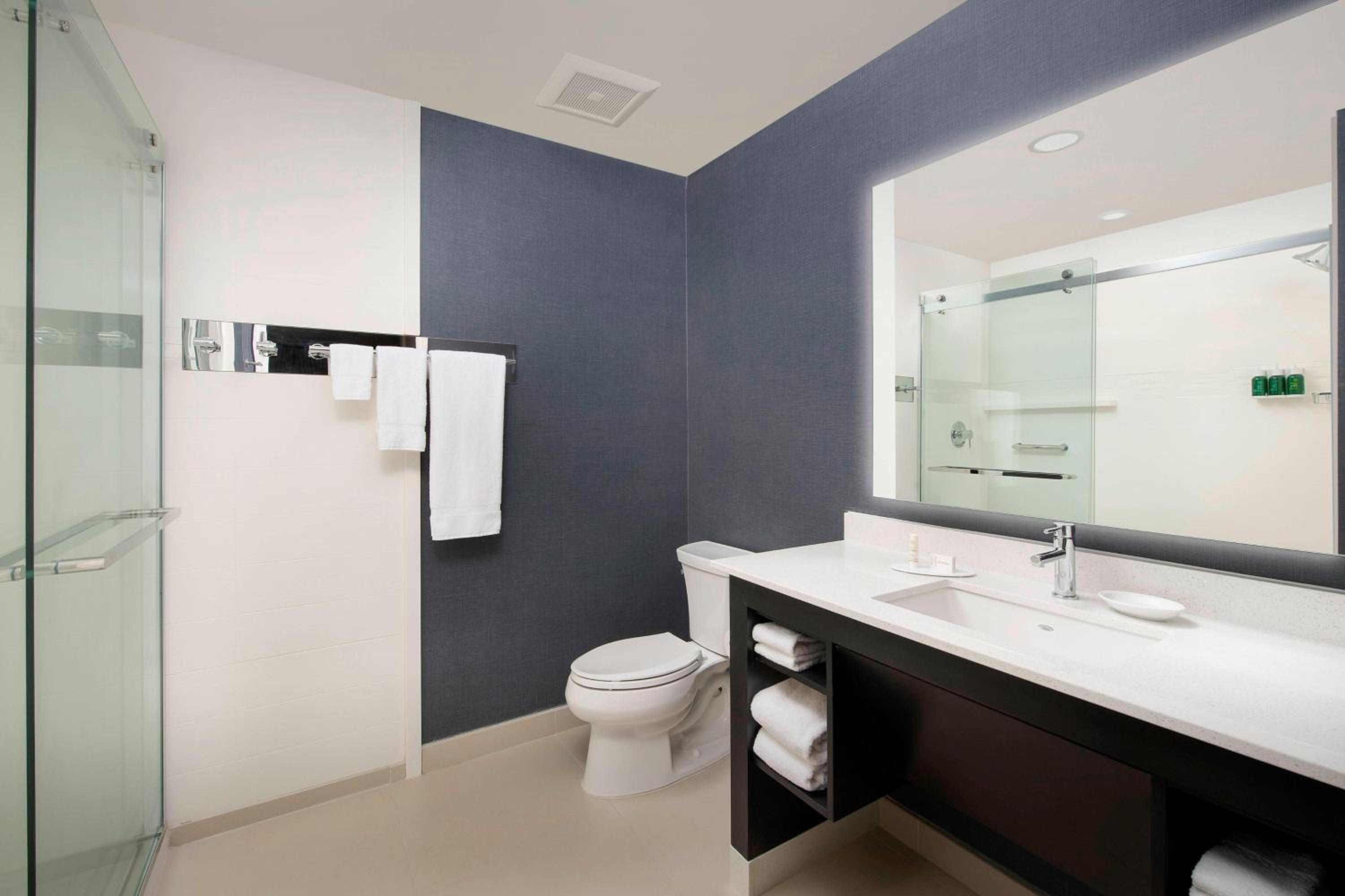 Studio, 1 King, Sofa bed