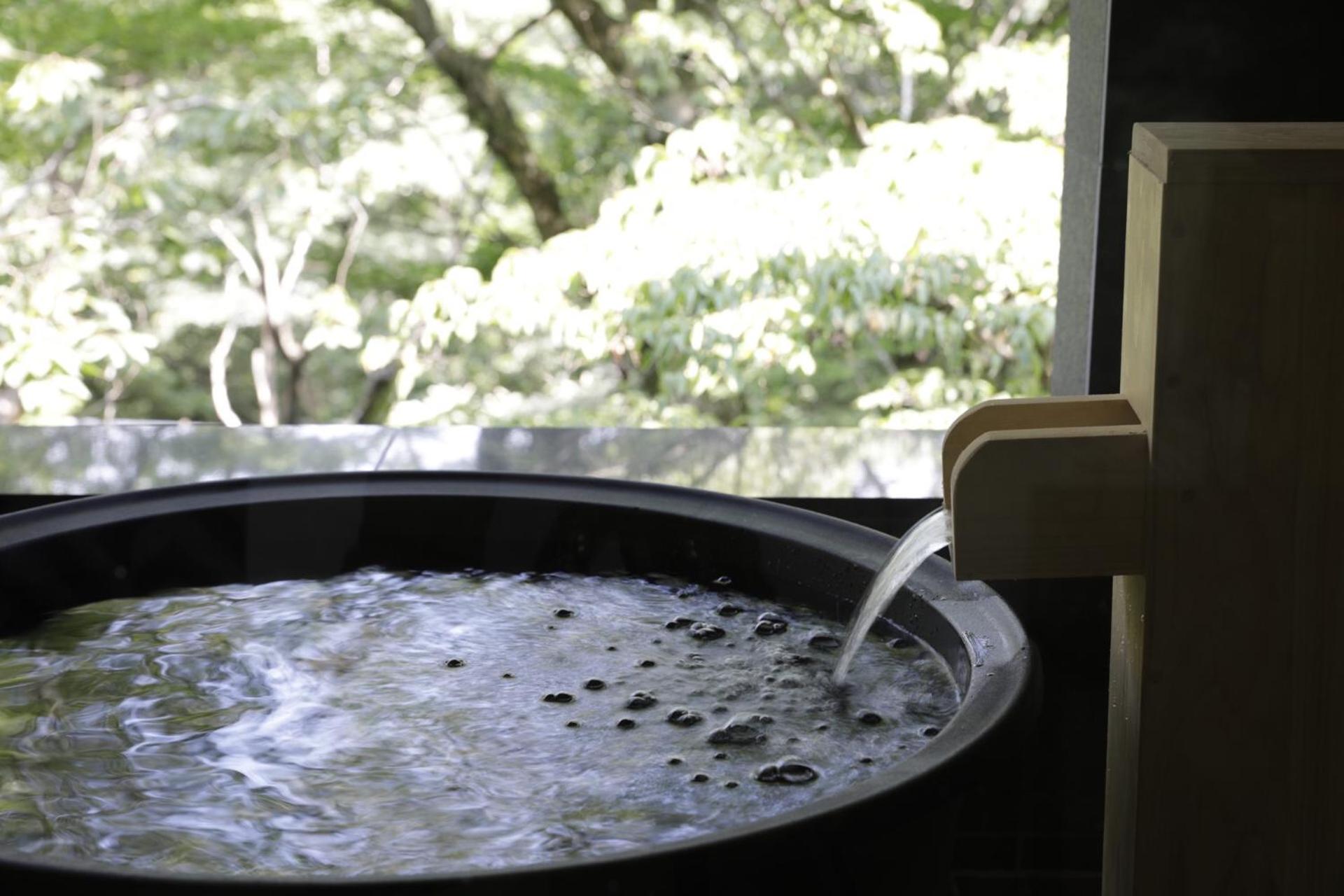 Japanese-Style Executive Room with Open-Air Bath - Non-Smoking - Sukiyaki Dinner Included