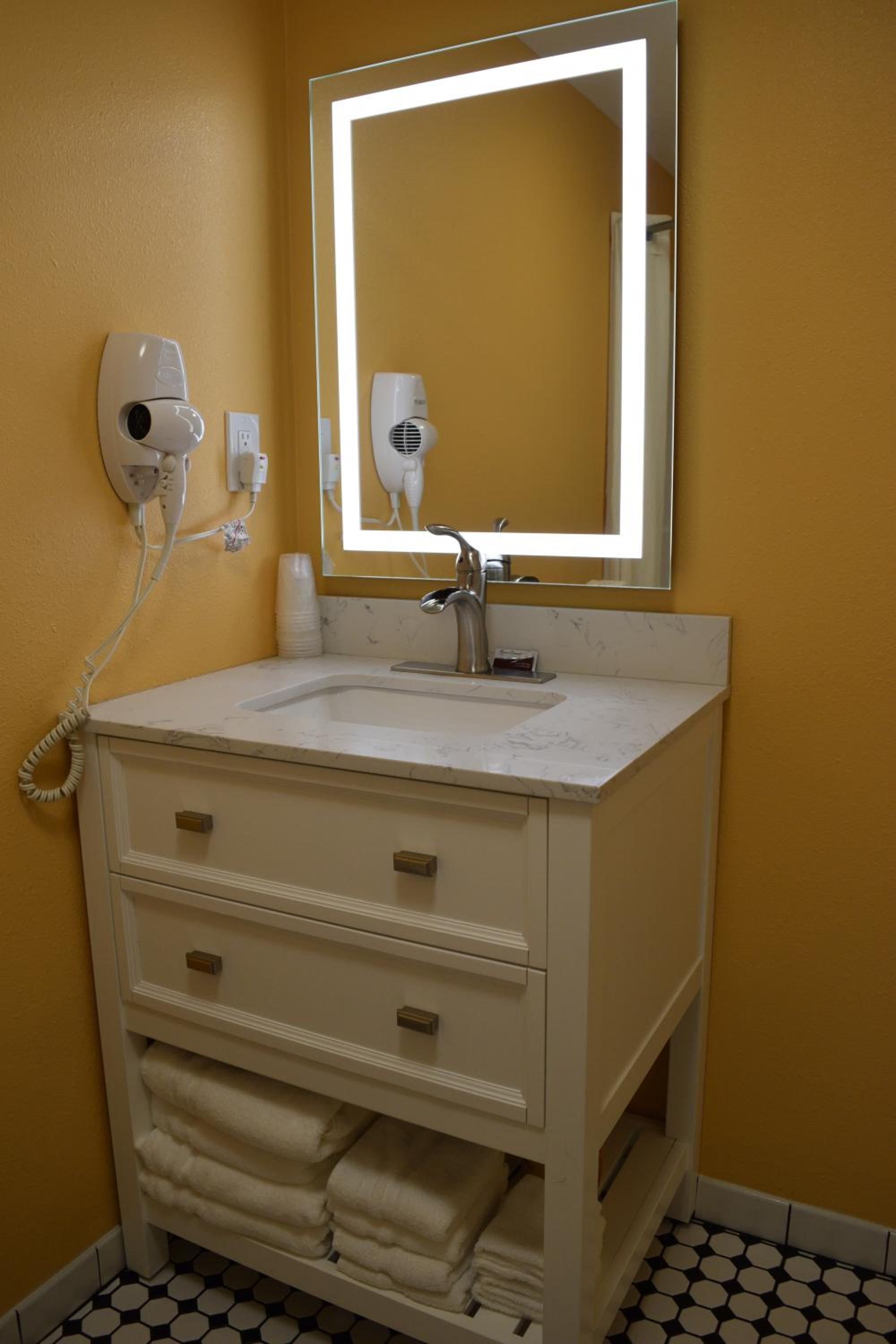 Kitchen Suite with 2 King Beds and Sofa Bed - No Pets Allowed