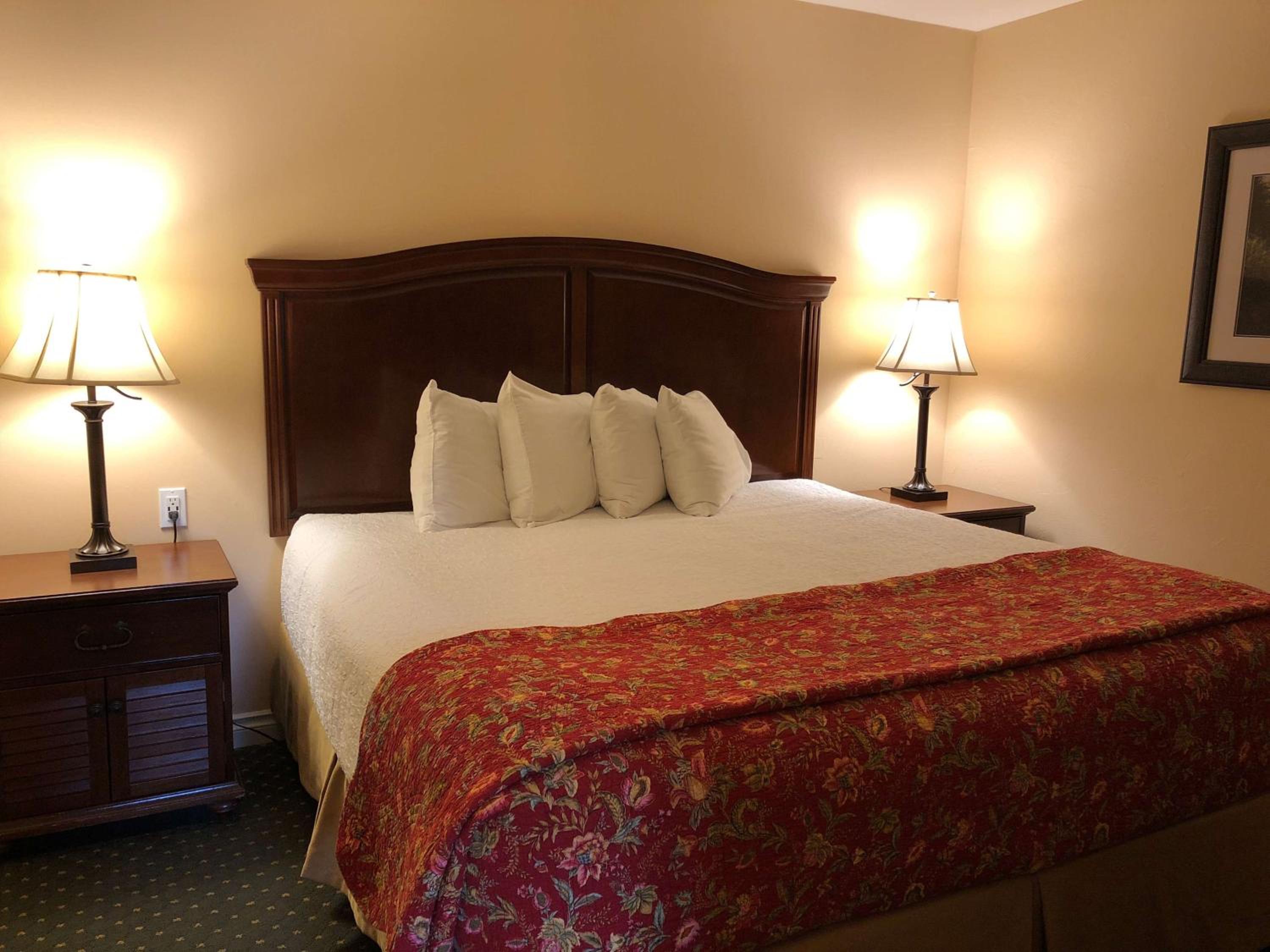 One-Bedroom King Suite with Sofa Bed and Kitchenette