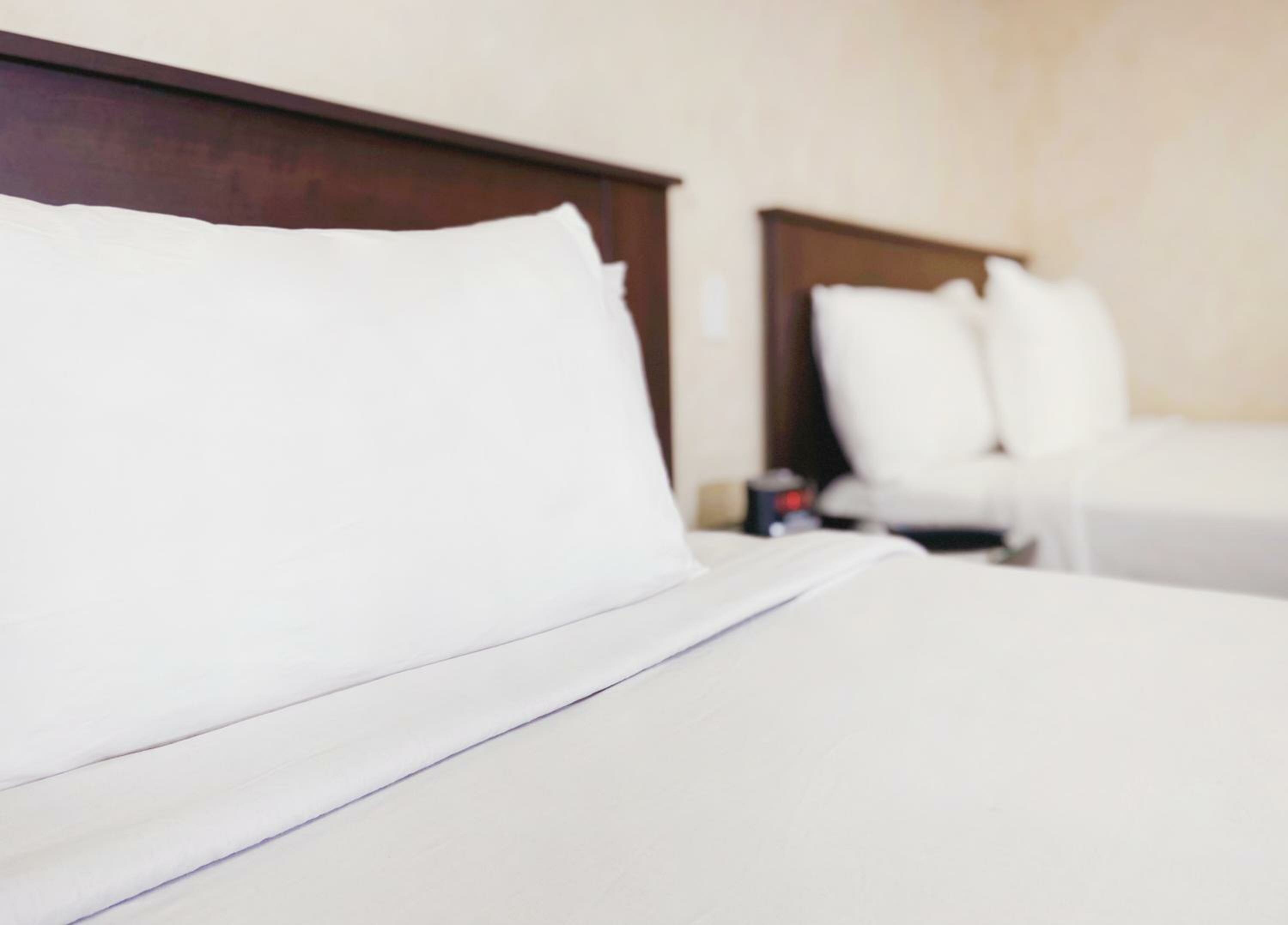 Double Room with Two Double Beds