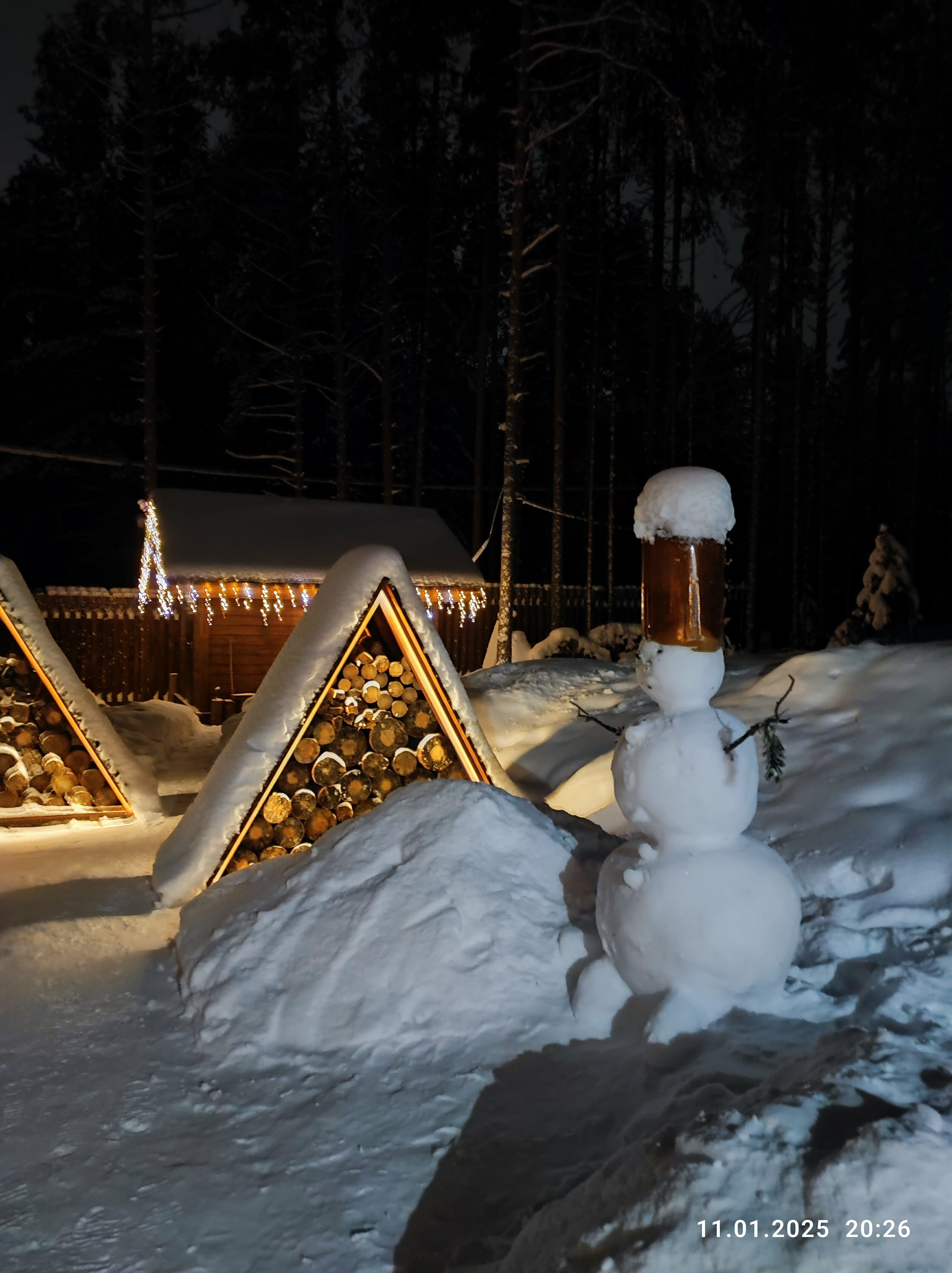 Коттедж с видом на лес