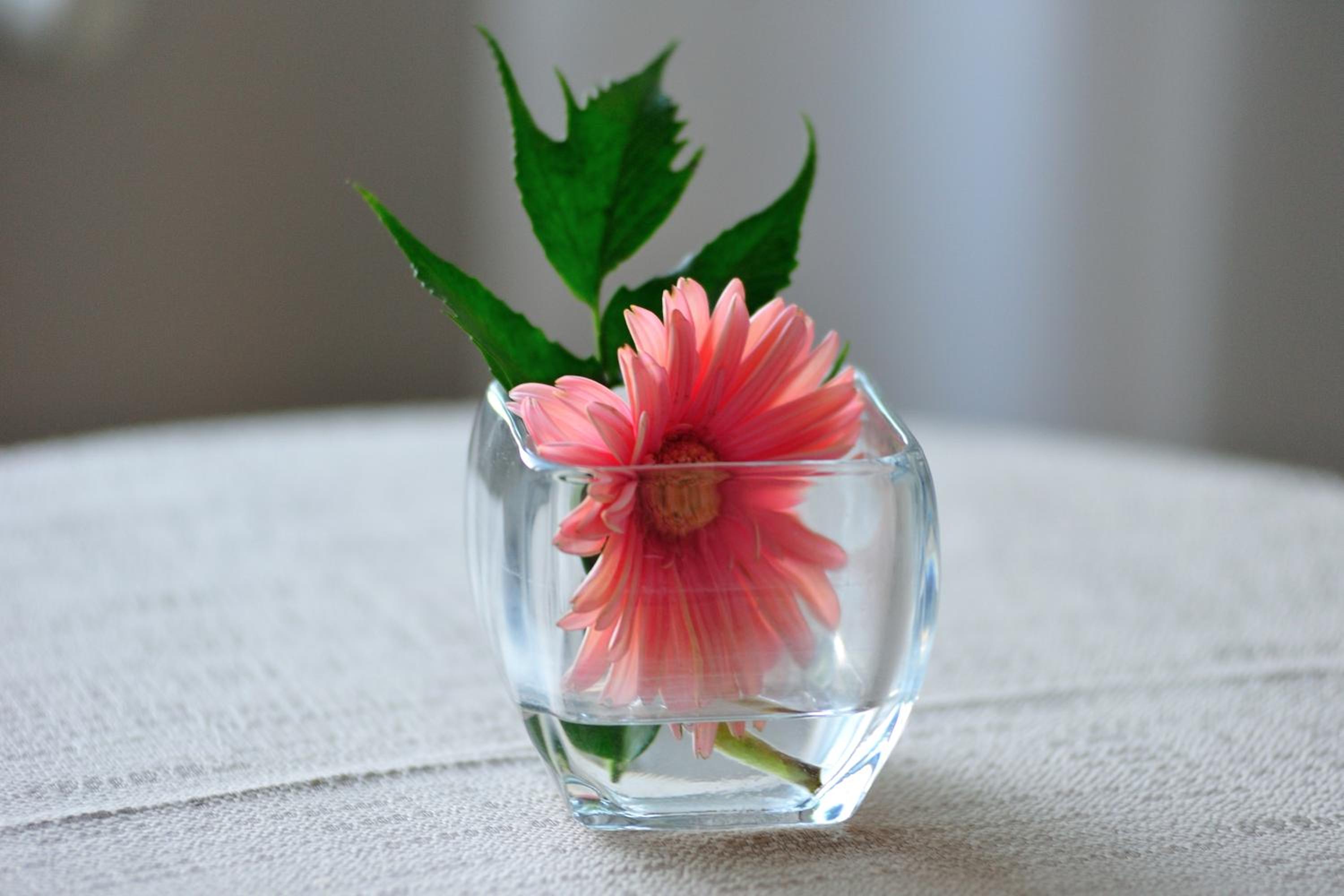 Family Room with Side Sea View