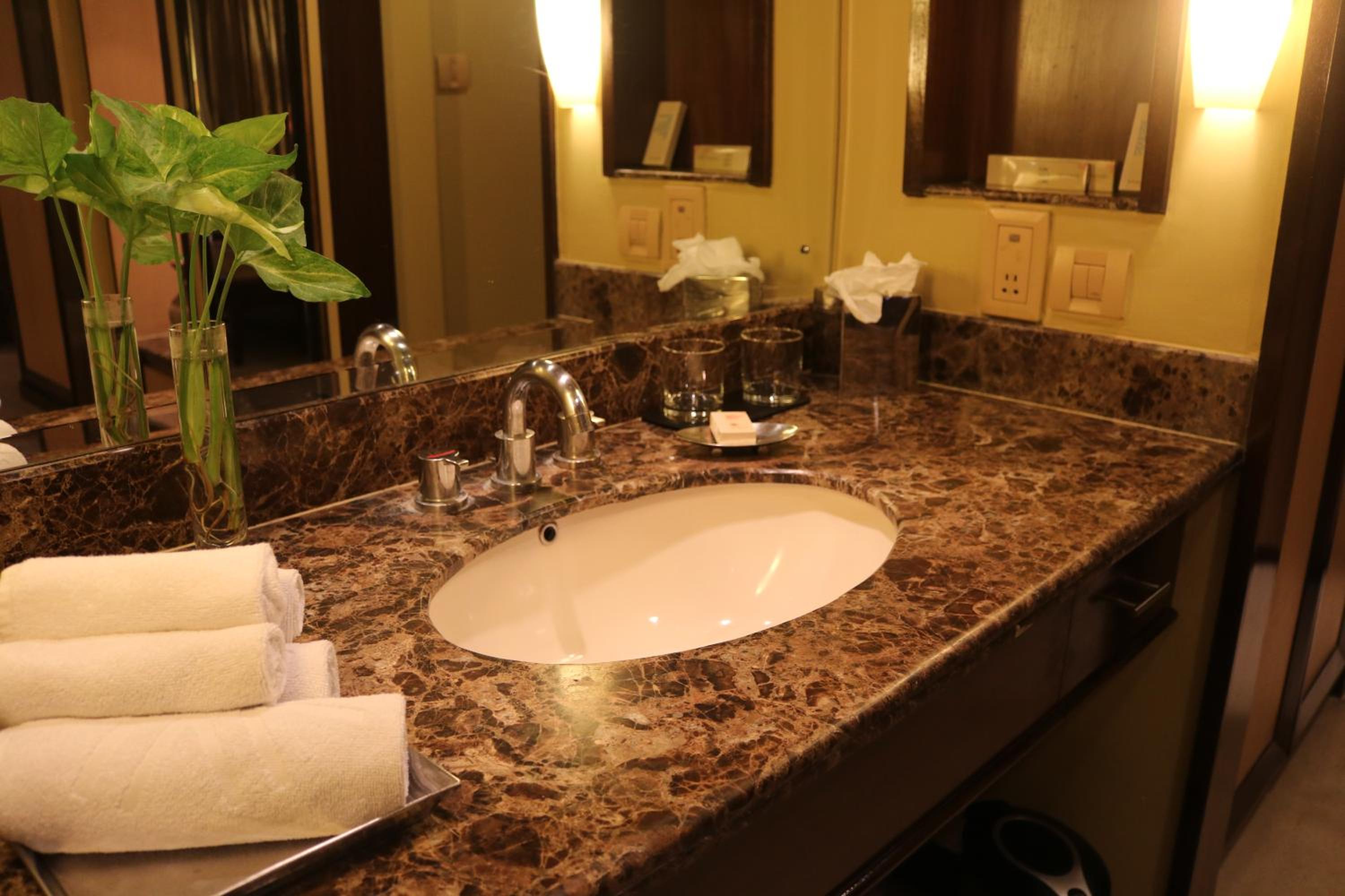 Deluxe  Room City View Twin Bed 