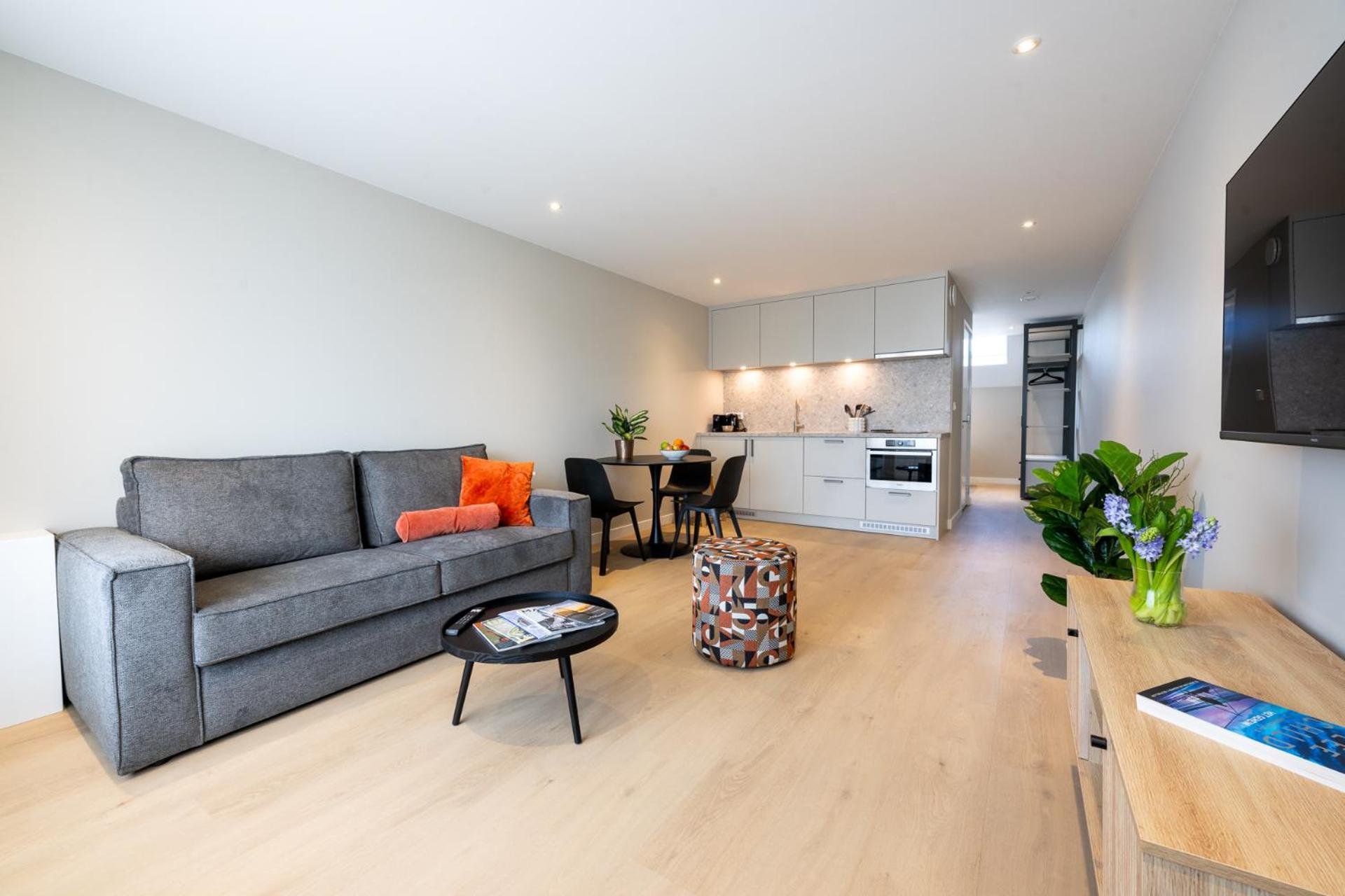 Deluxe Apartment