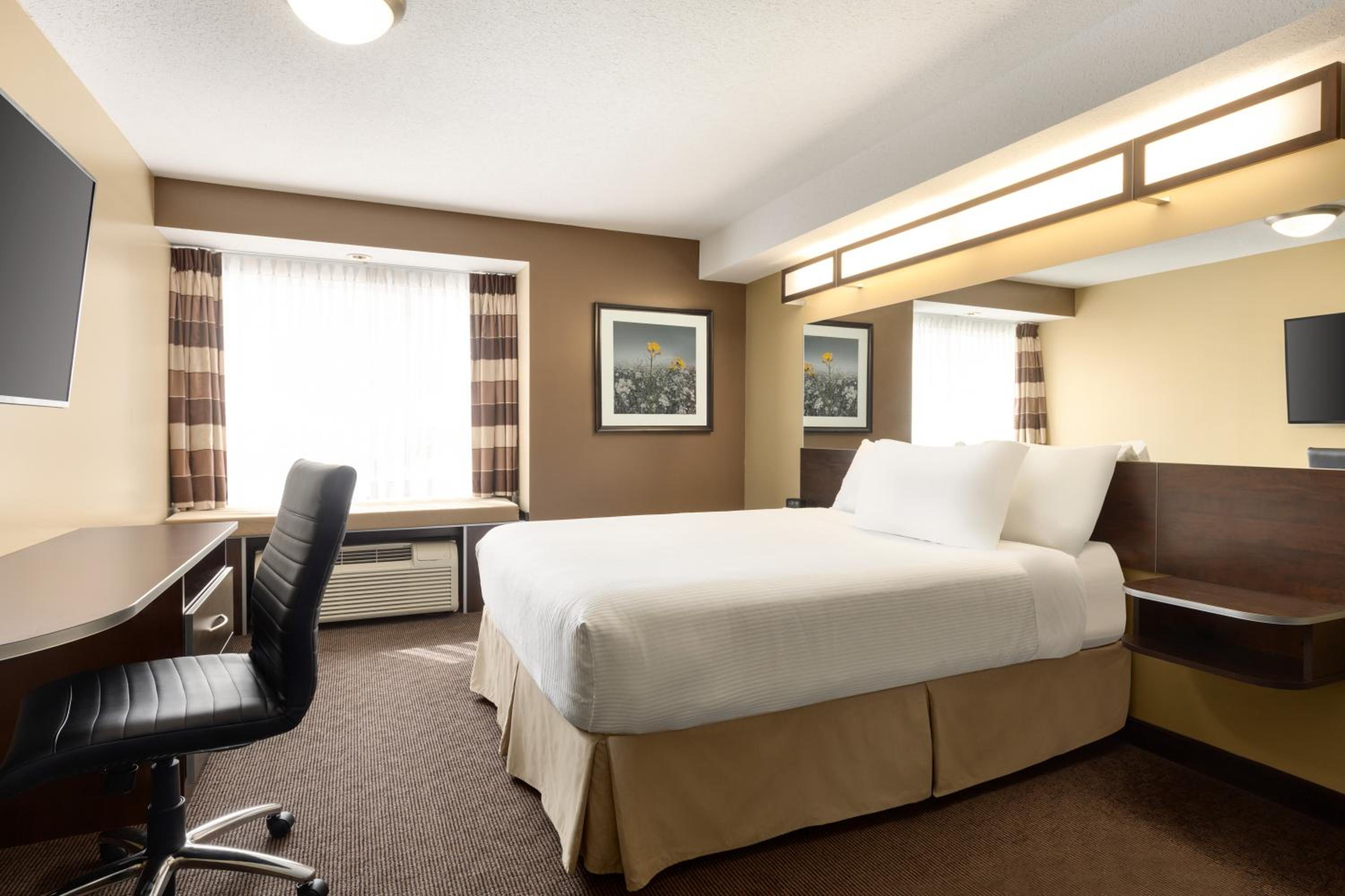 Queen Room with Roll-In Shower - Mobility Accessible/Non-Smoking