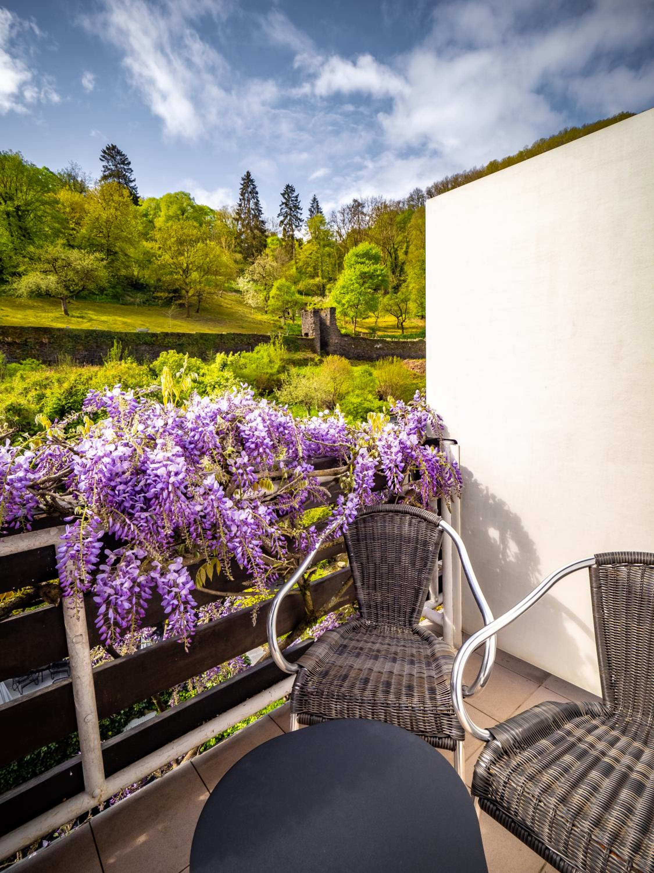 Double Room with Garden View and Balcony