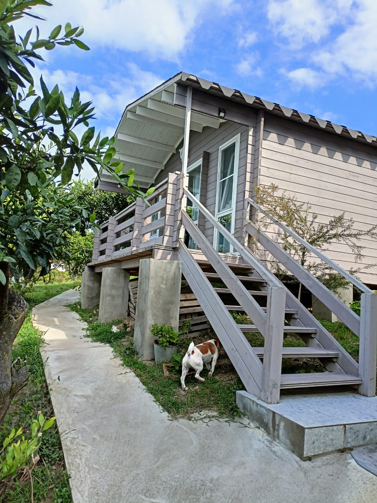 Четырехместный домик № 1 с видом на море