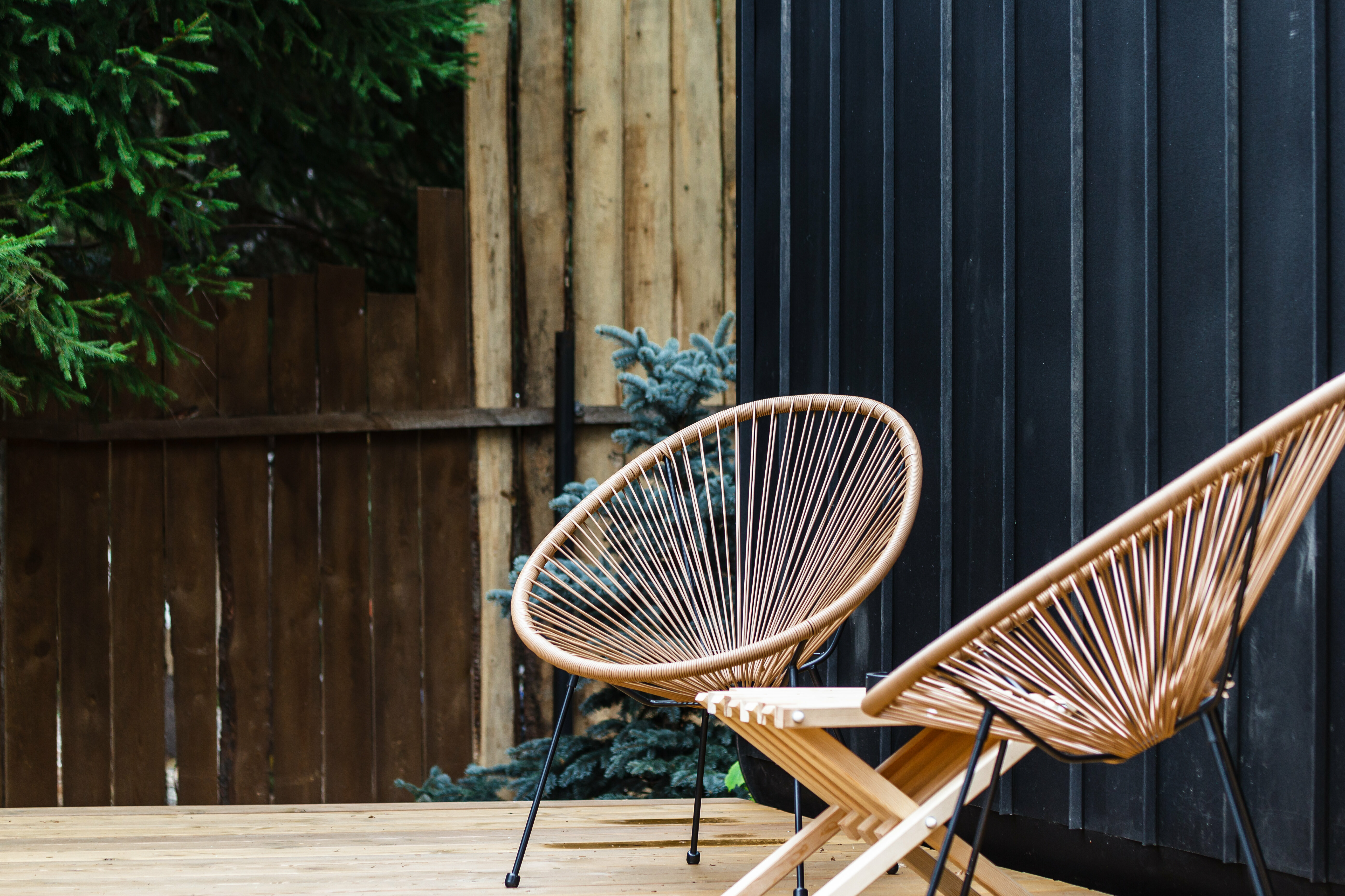 Дом Ежевика