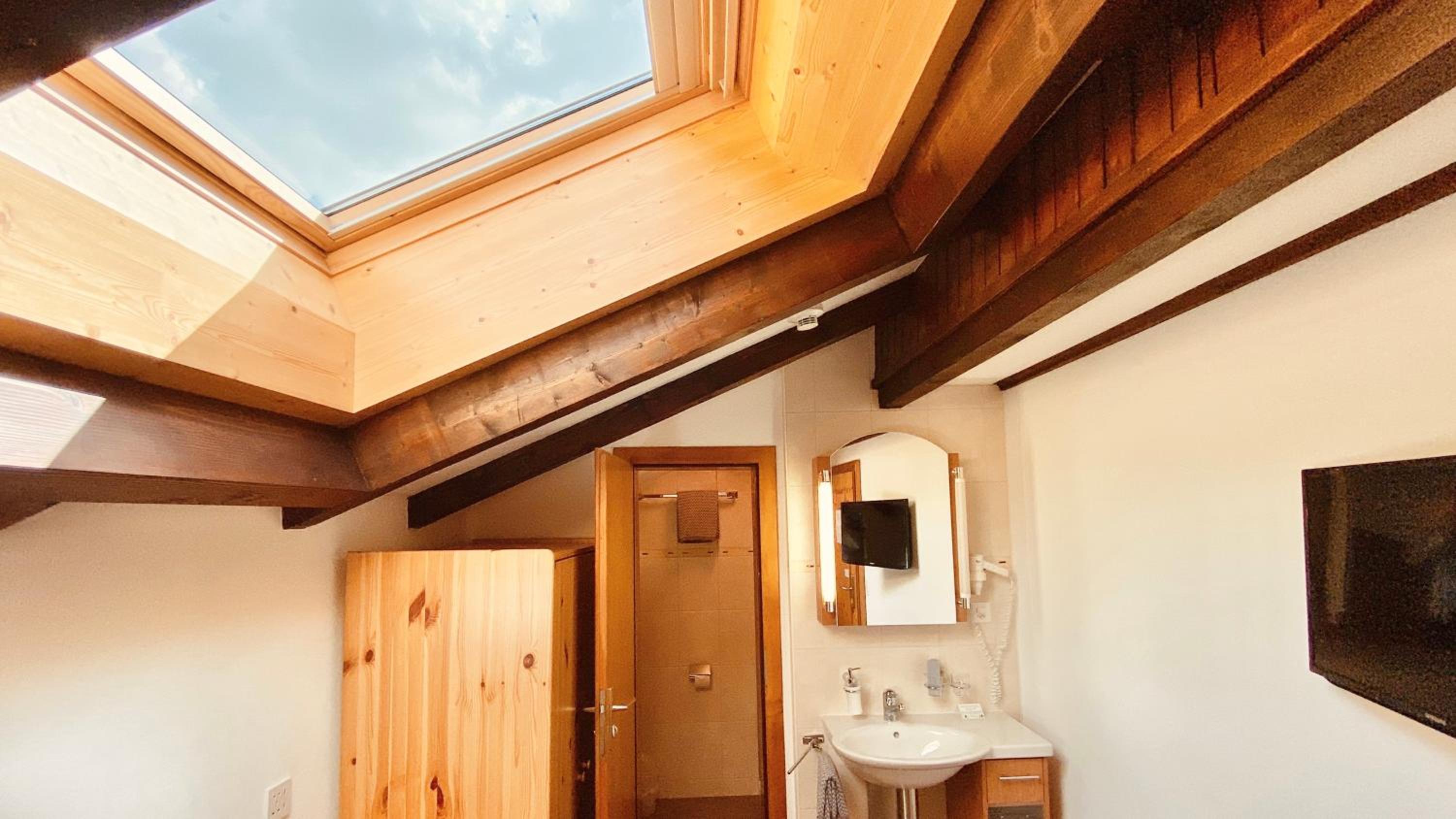 Budget Single Room with Roof Window