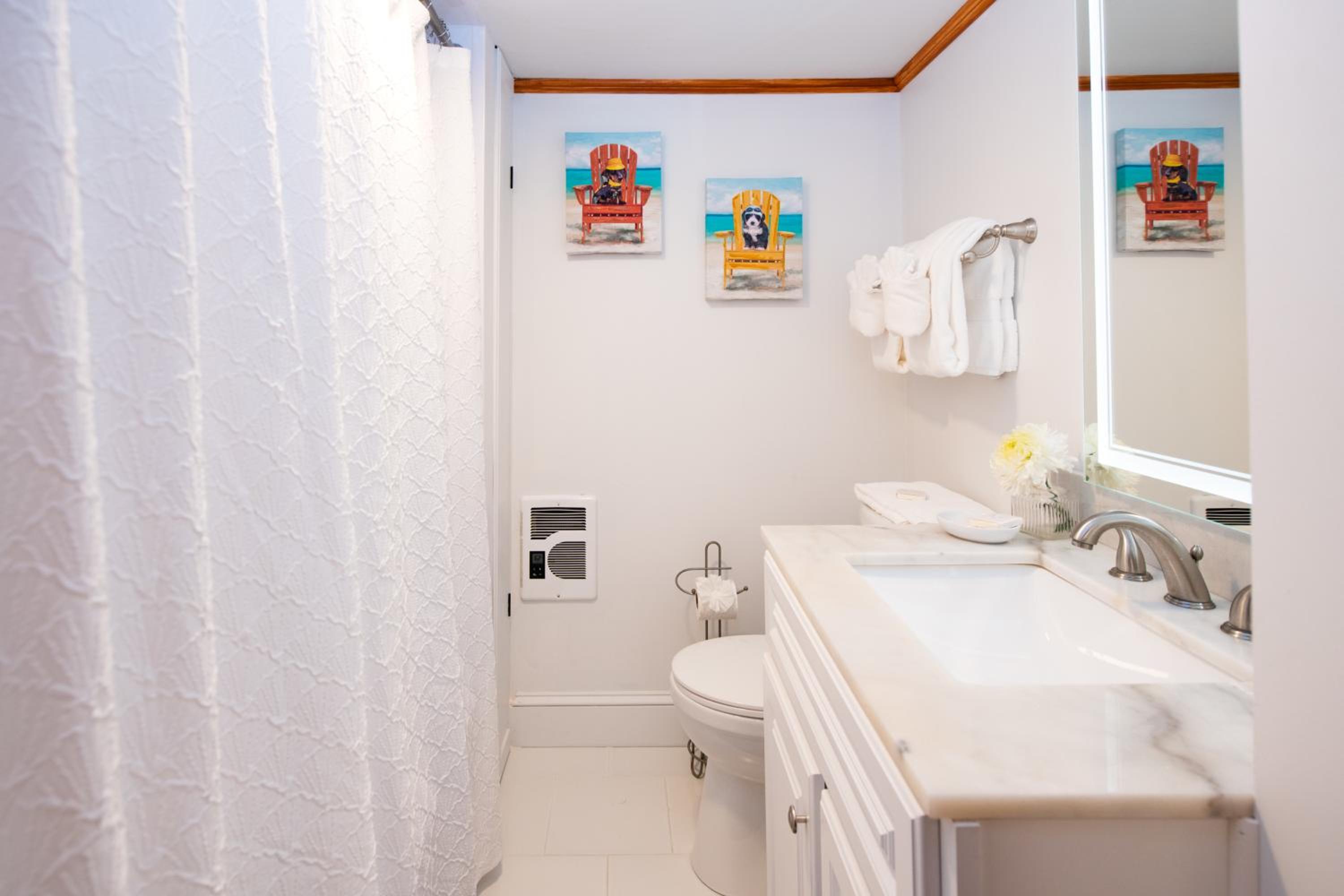 Apartment - Basement (Pet Friendly)