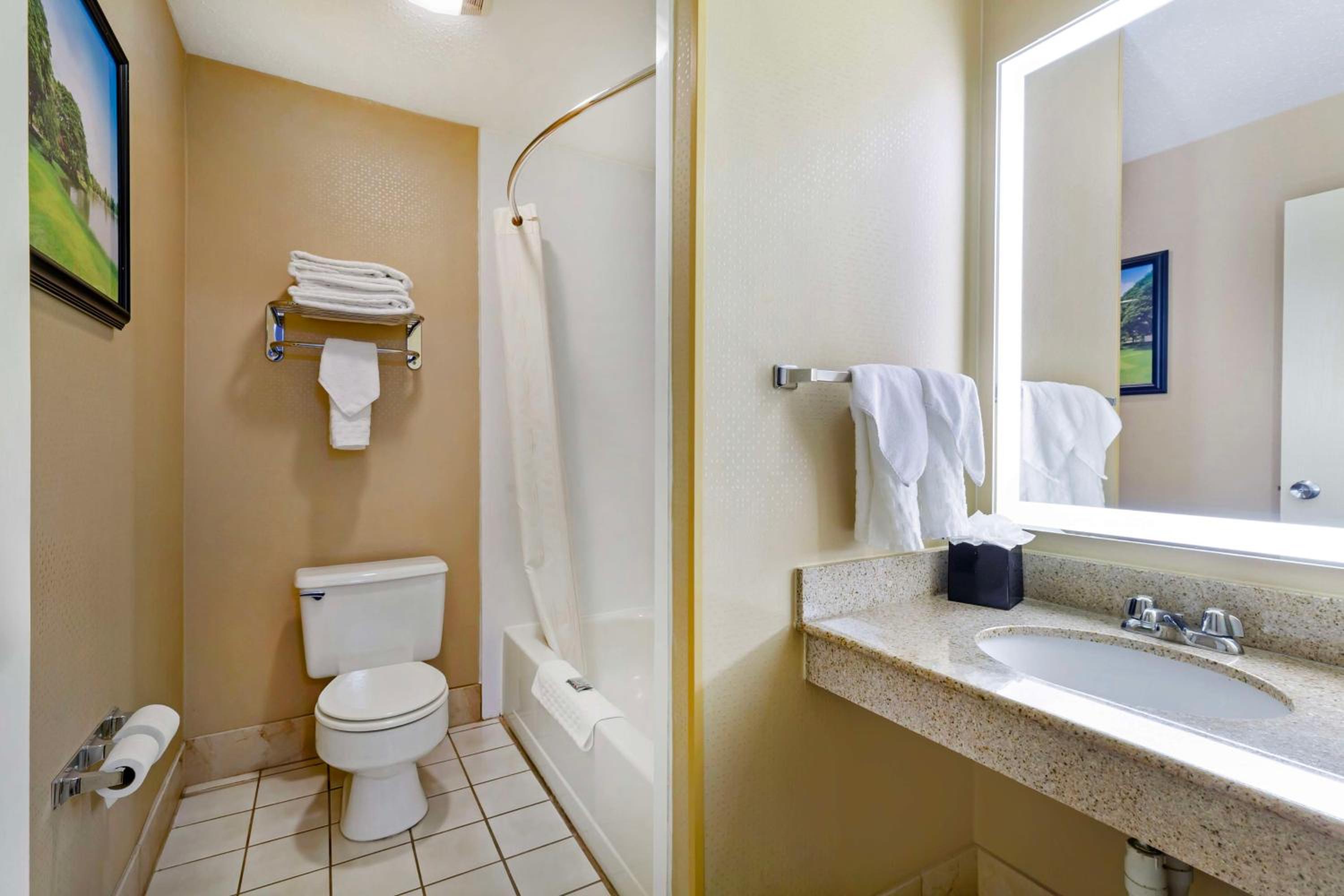 Mini King Suite with Sofa Bed - Non-Smoking