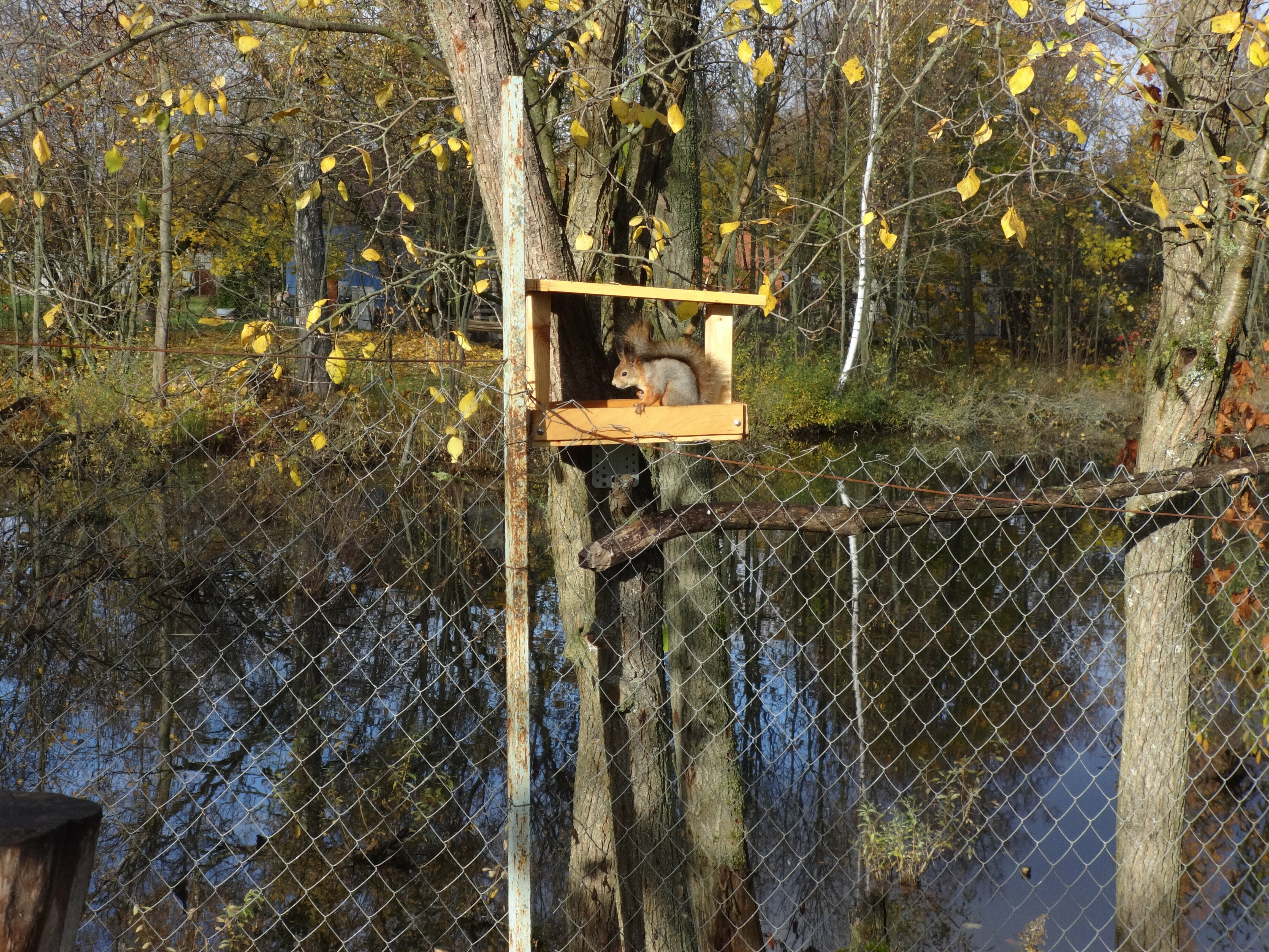 Вилла с 2 спальнями