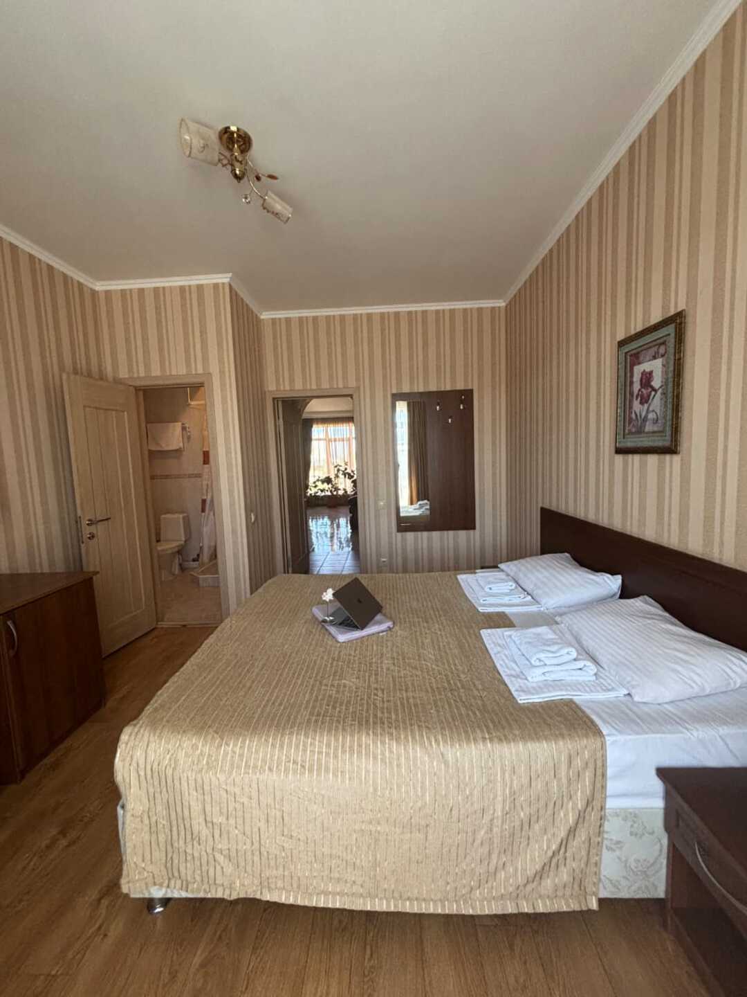 Двухместный номер с 1 кроватью и балконом