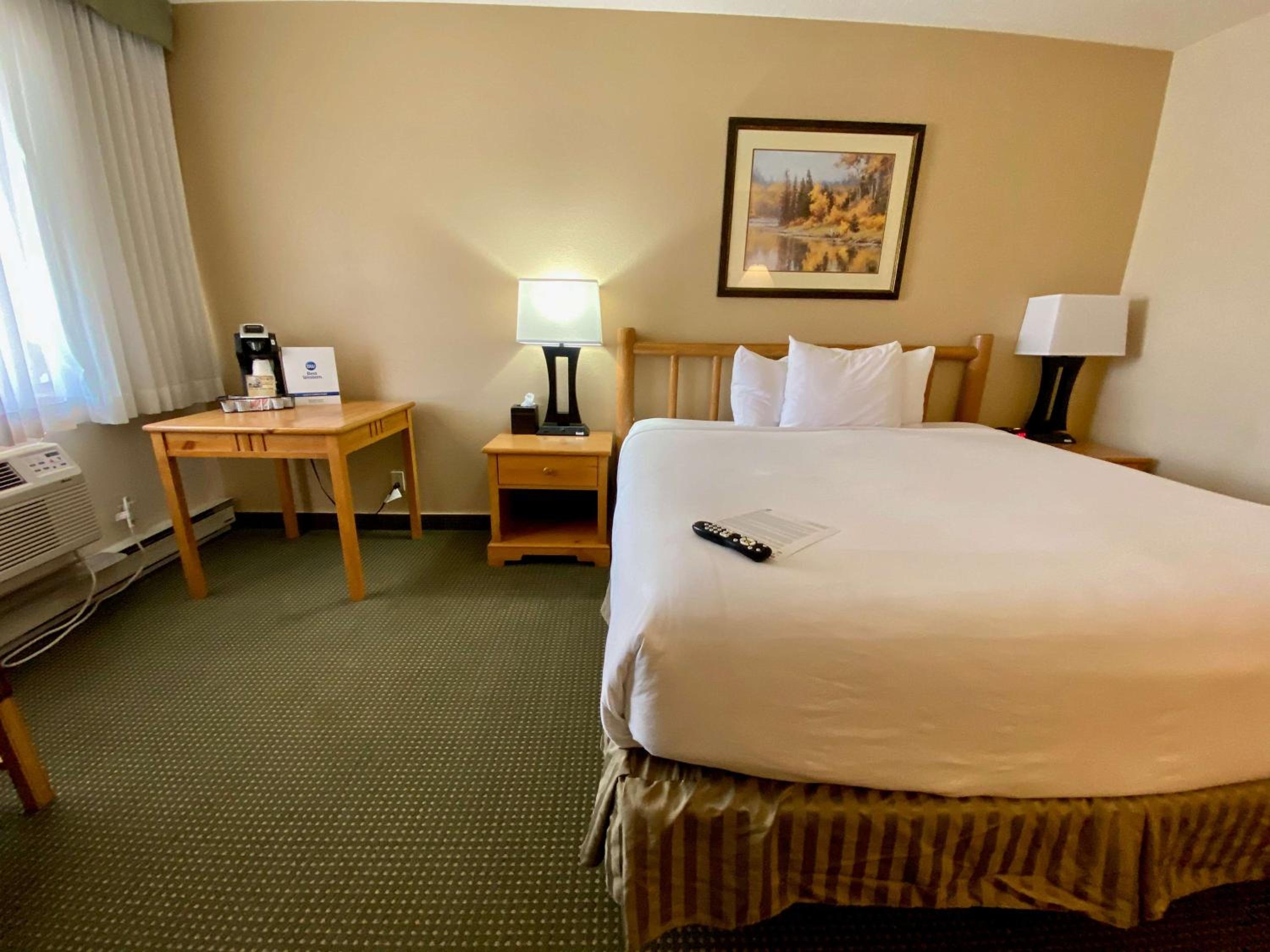 King Room - Pet Friendly