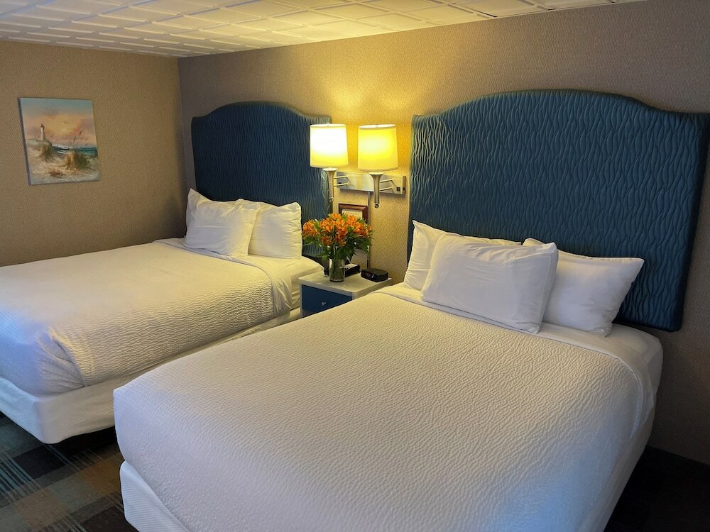 Premium Room, 2 Queen Beds