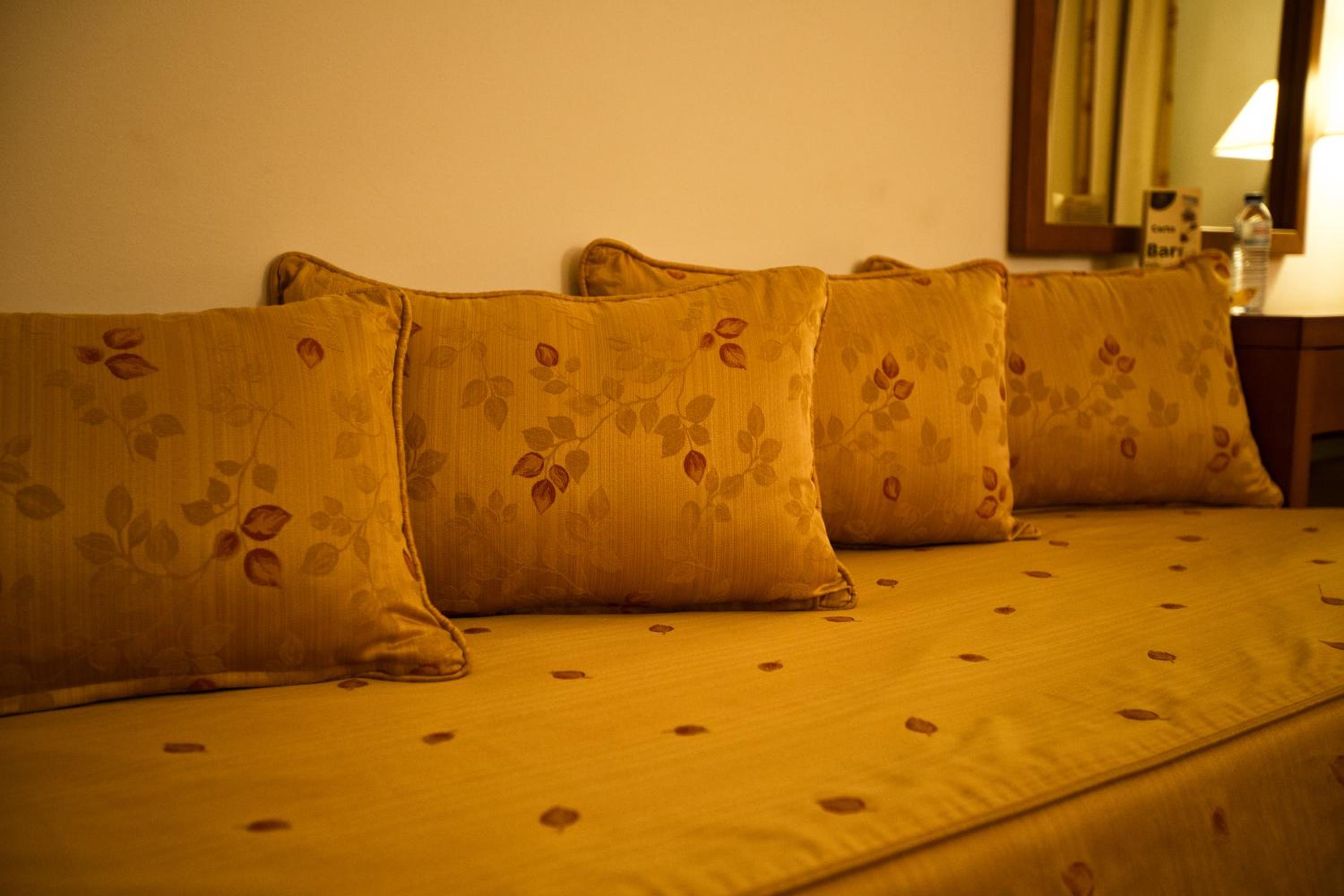 Double or Twin Room with Extra Bed