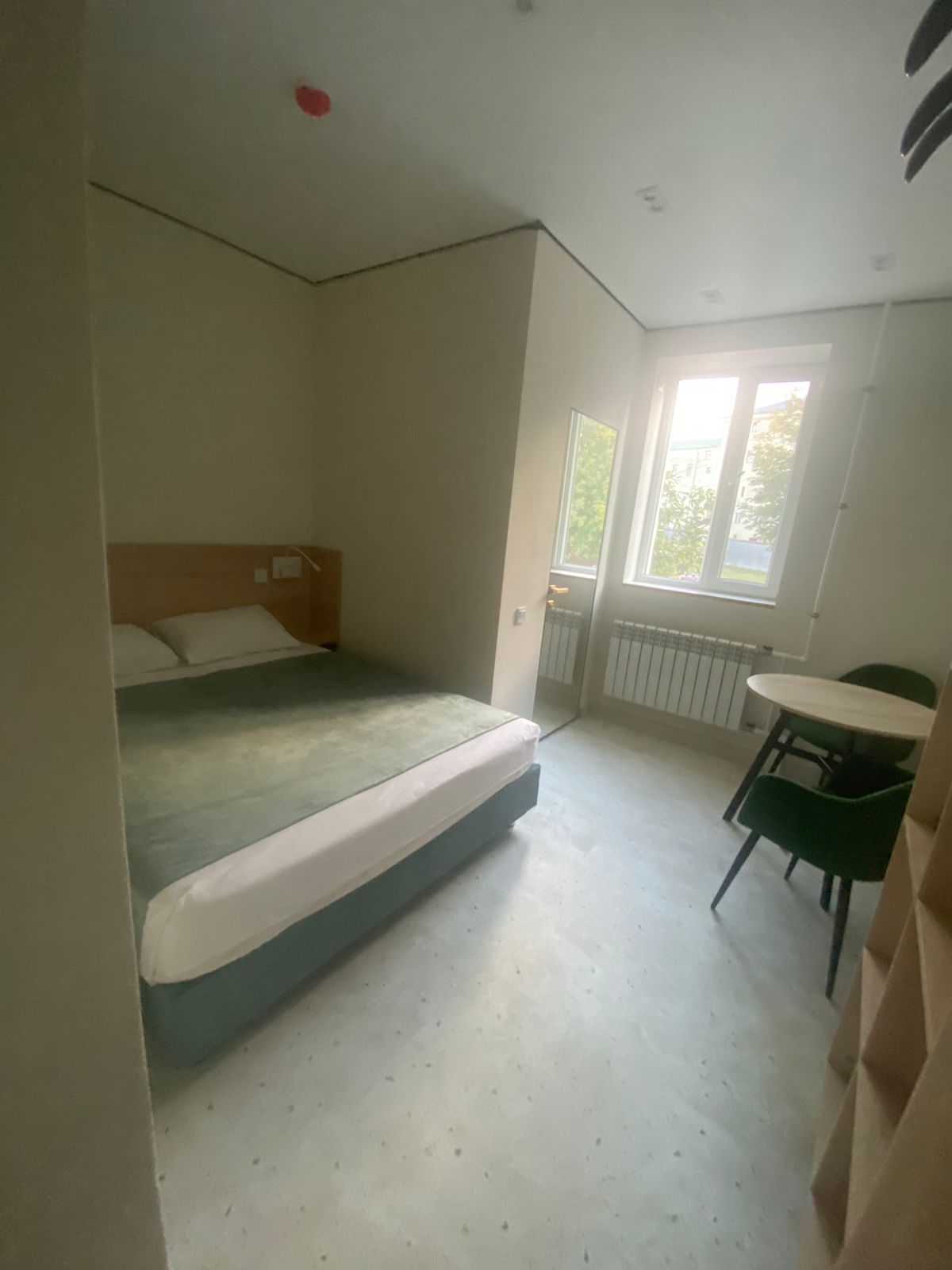 Двухместный номер с 1 кроватью и собственной ванной комнатой