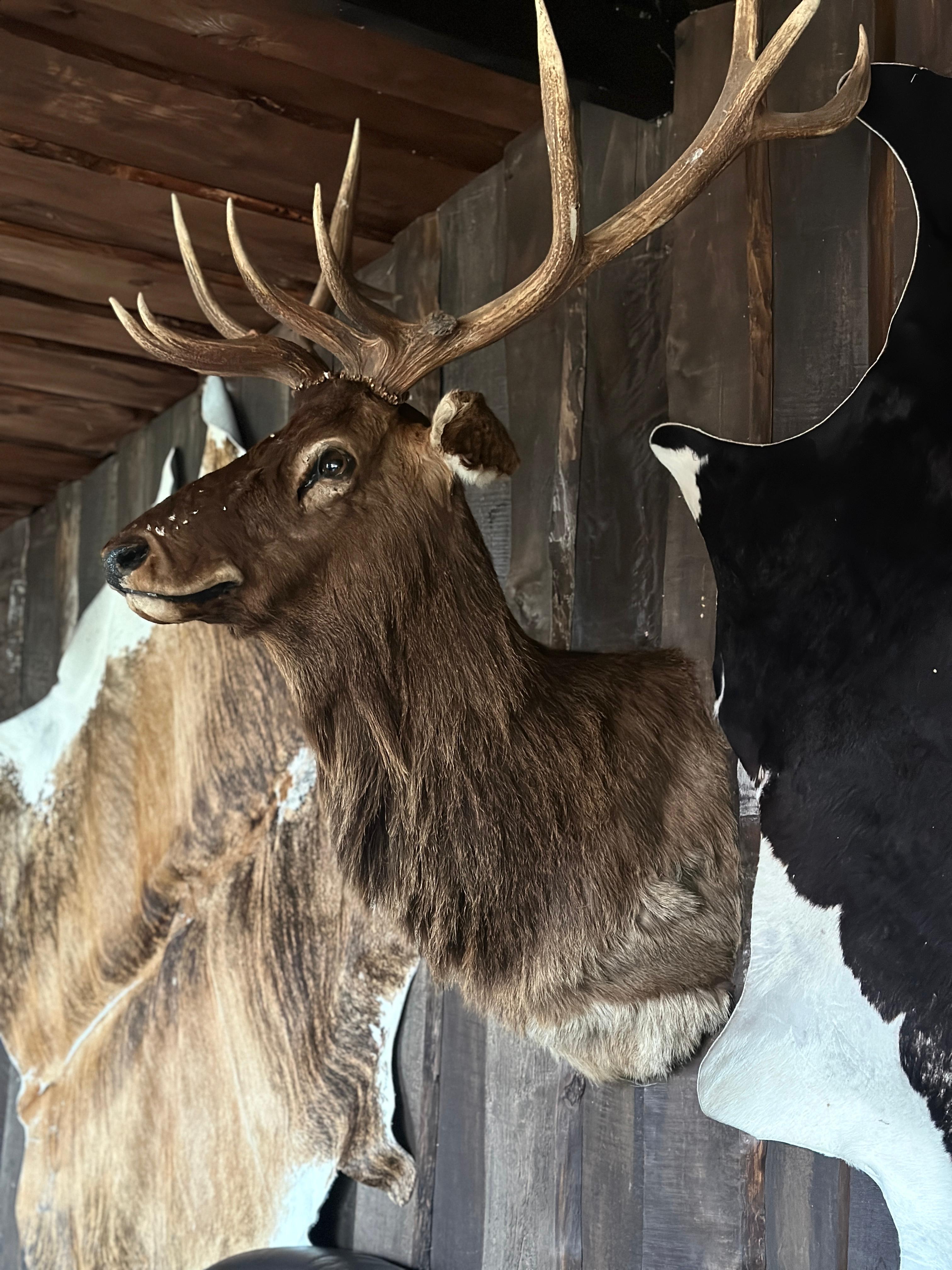 Дом охотника "Гастон"со  SPA-чаном и каминным залом