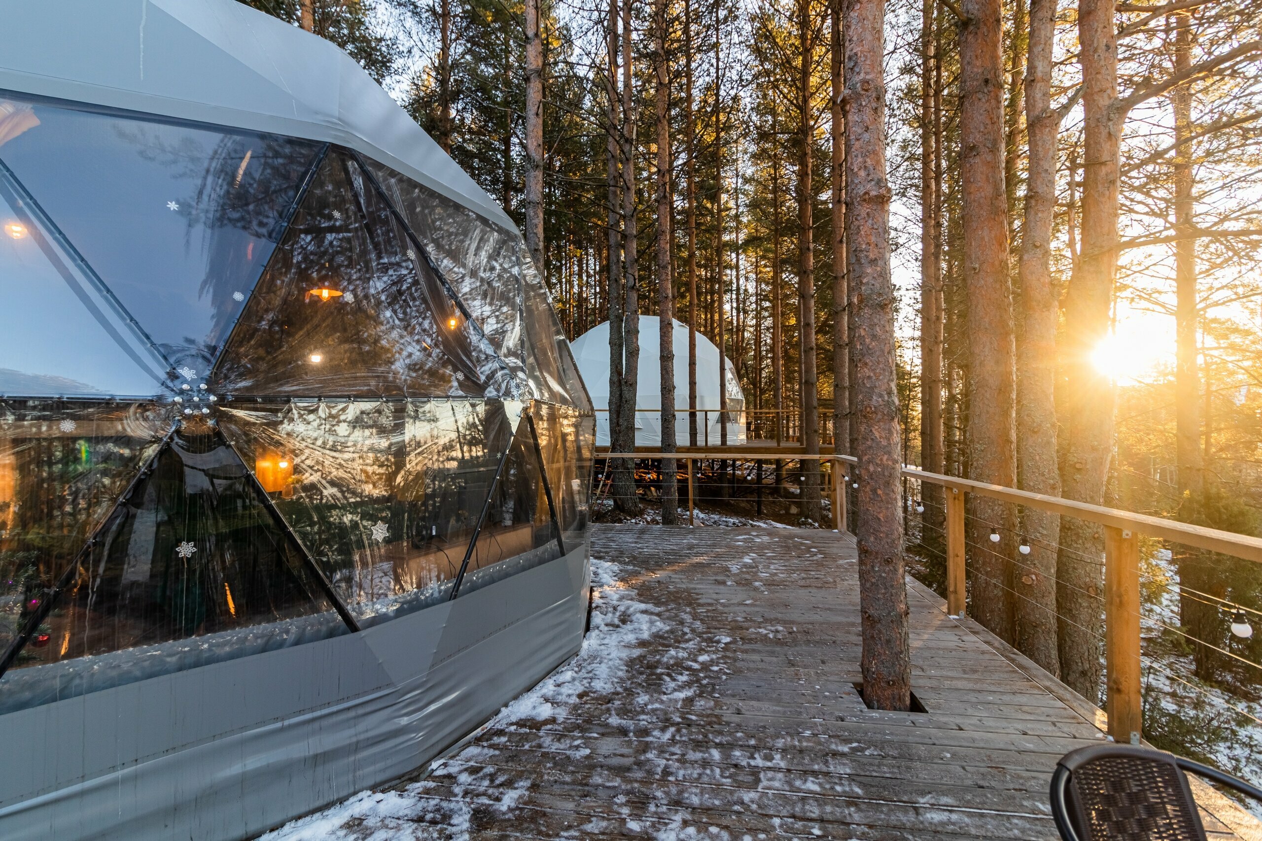 Купол «Карельский лес»