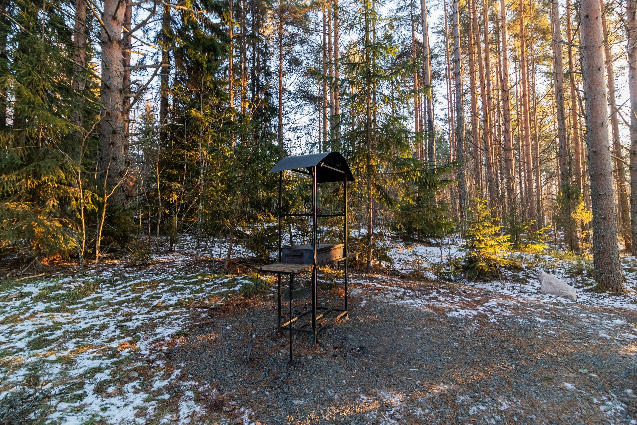 Купол «Петроглифы»