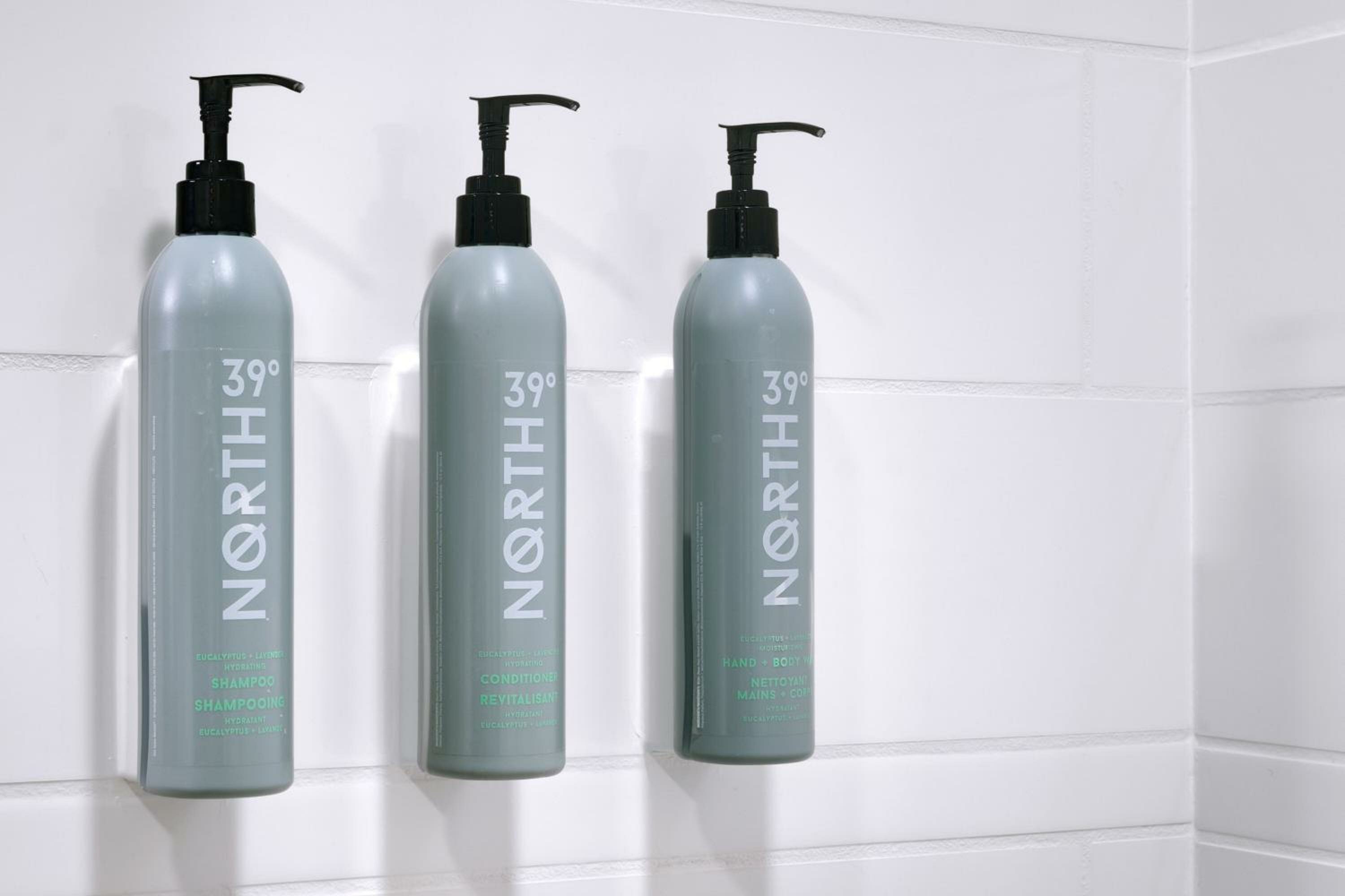 King Room with Sofa Bed