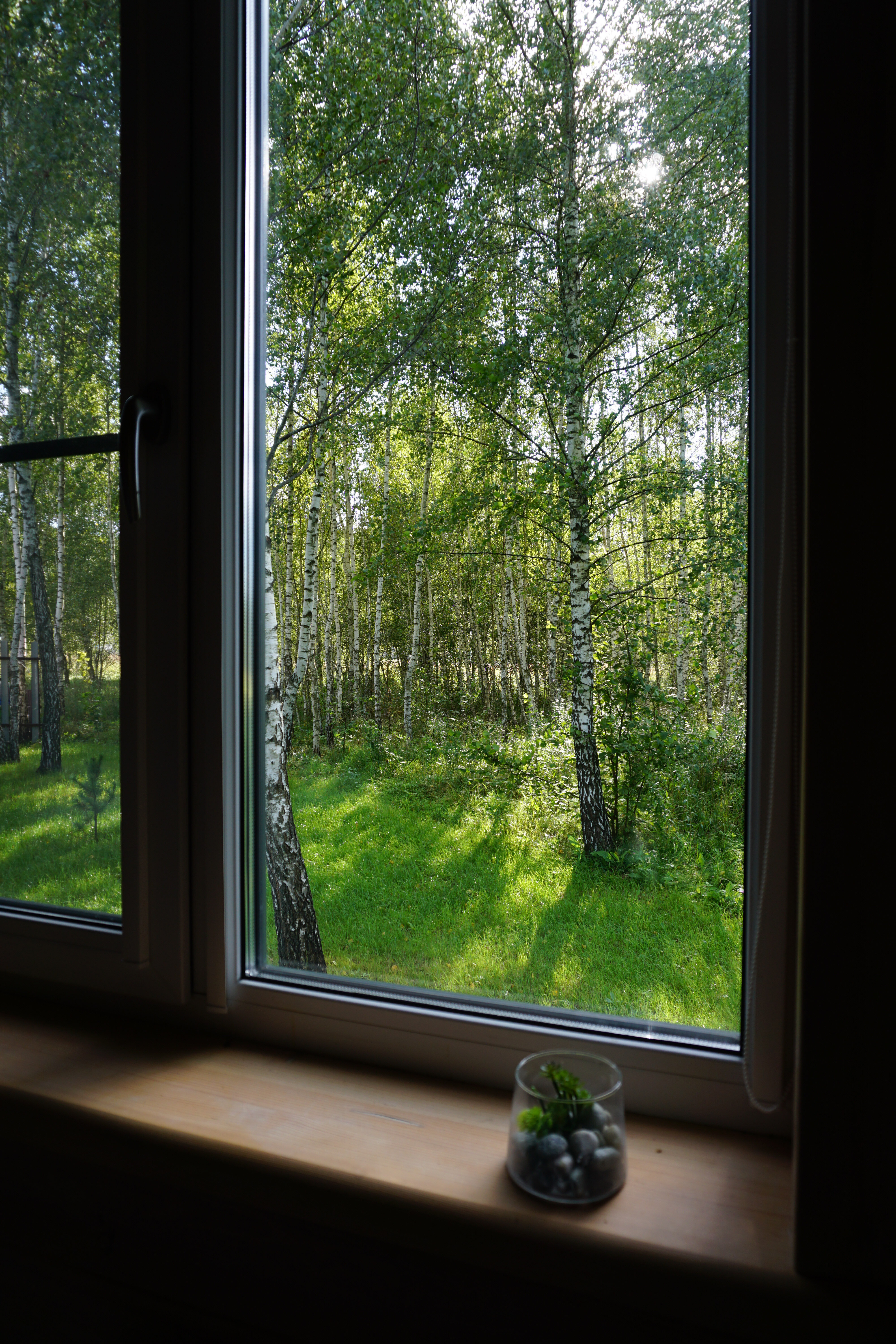 Дом с видом на лес