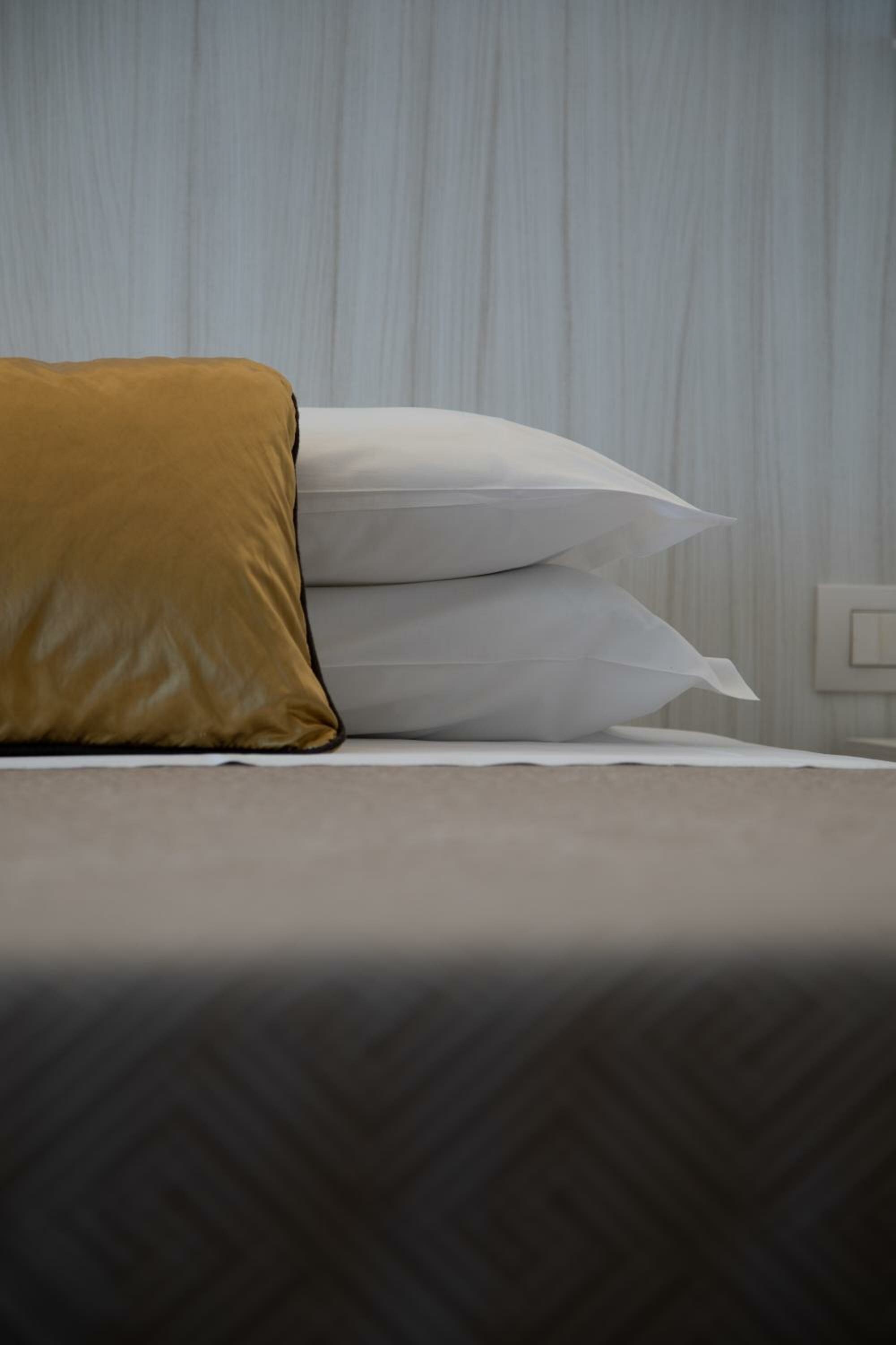 Superior Single Room