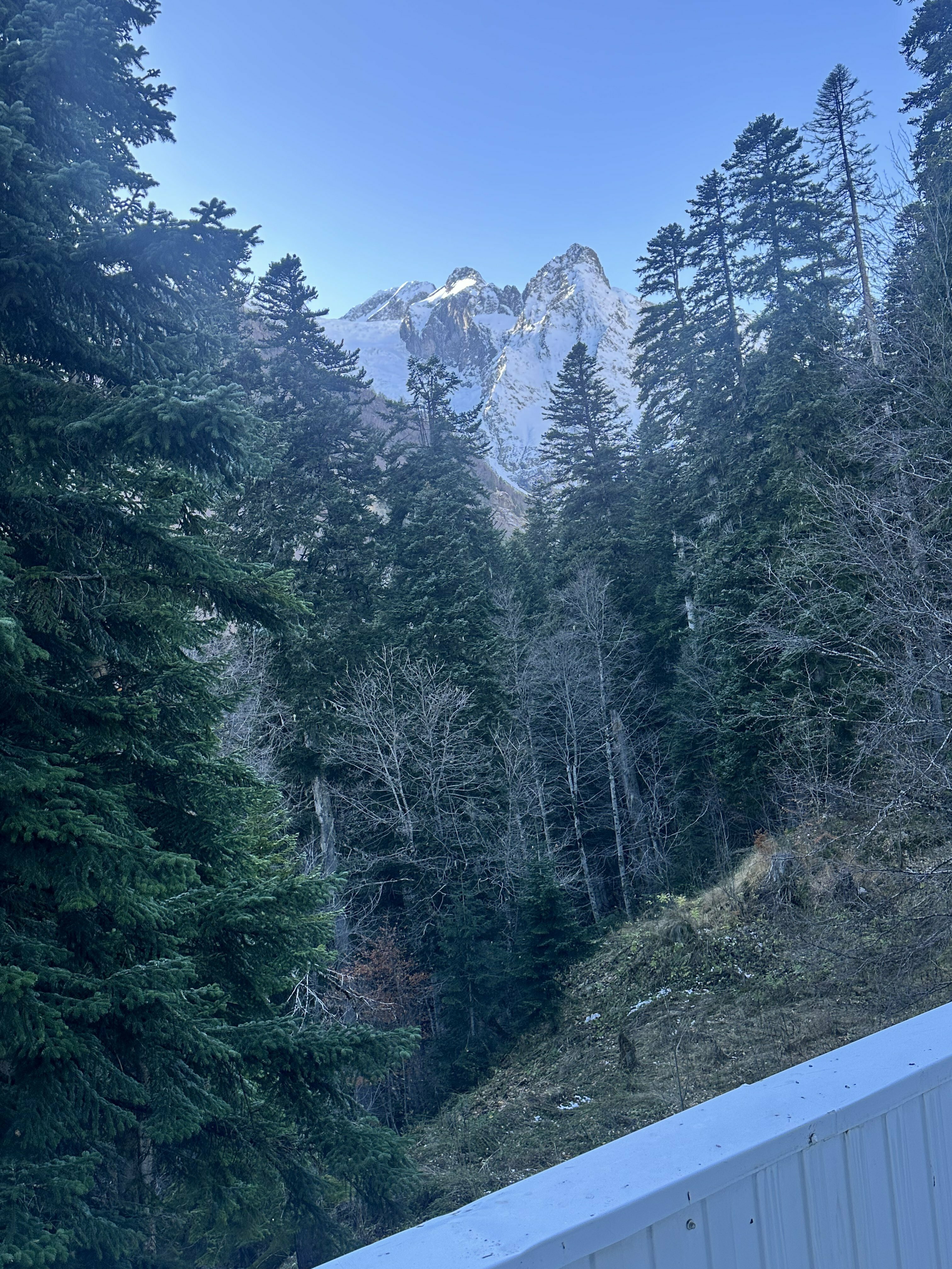 Люкс с балконом