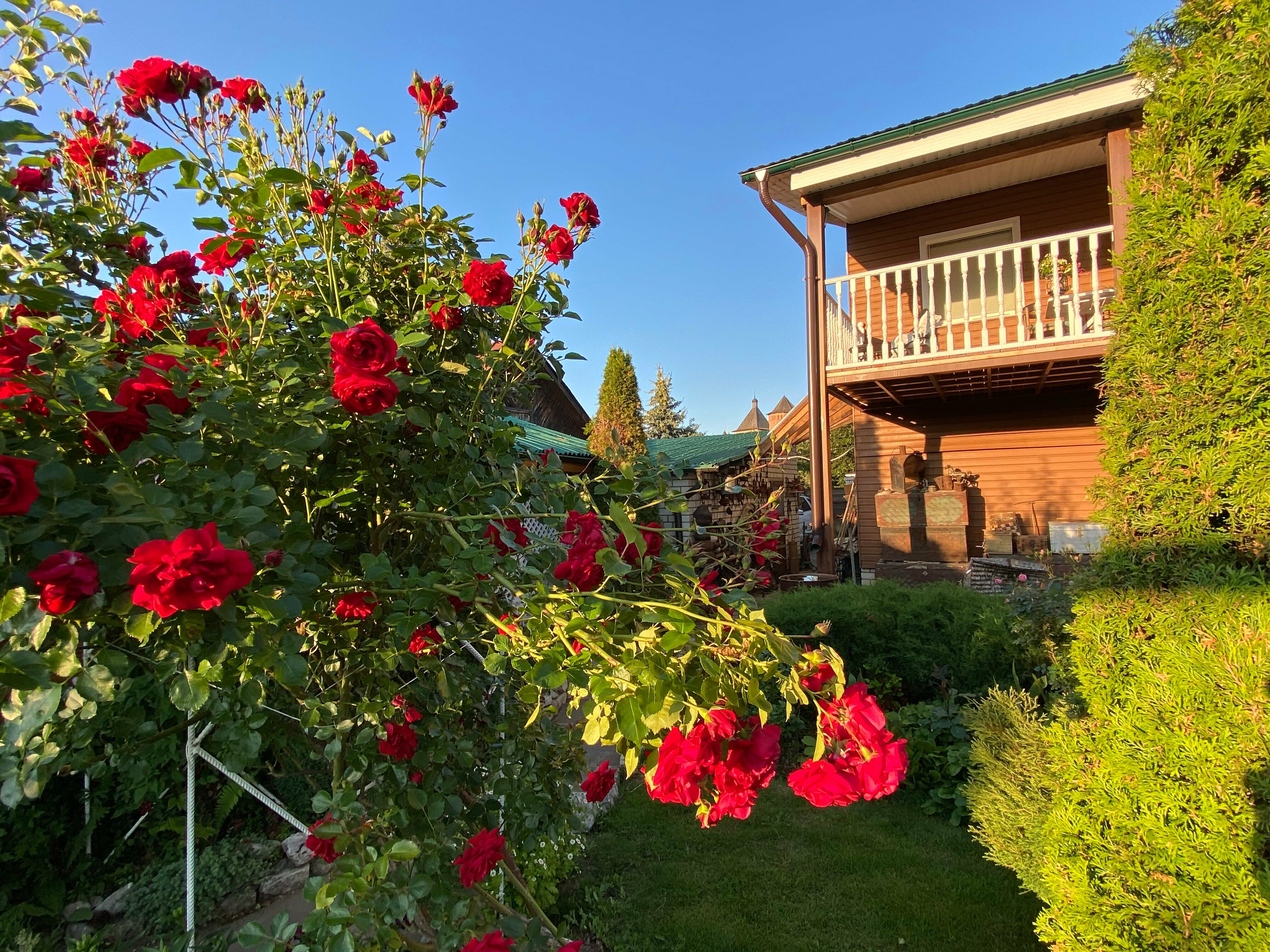 Двухместный номер с 1 кроватью и балконом