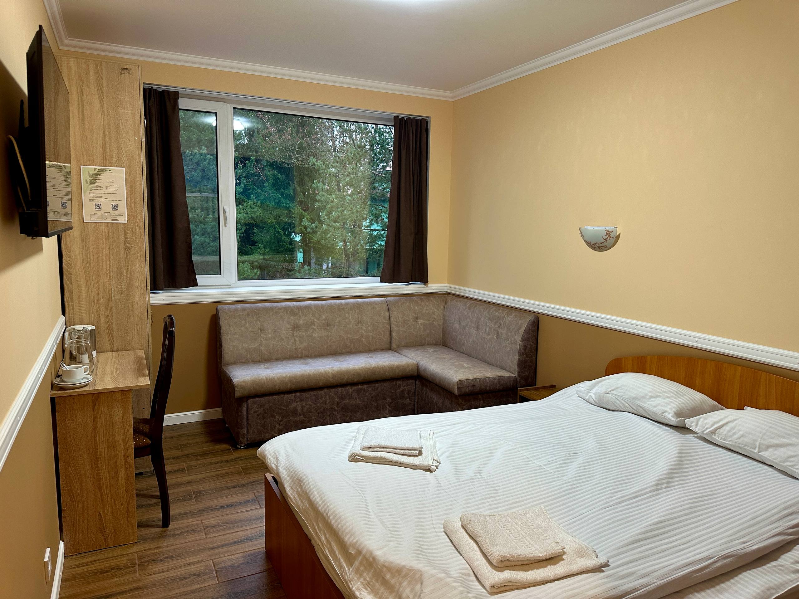 Двухместный номер с 1 кроватью и видом на парк