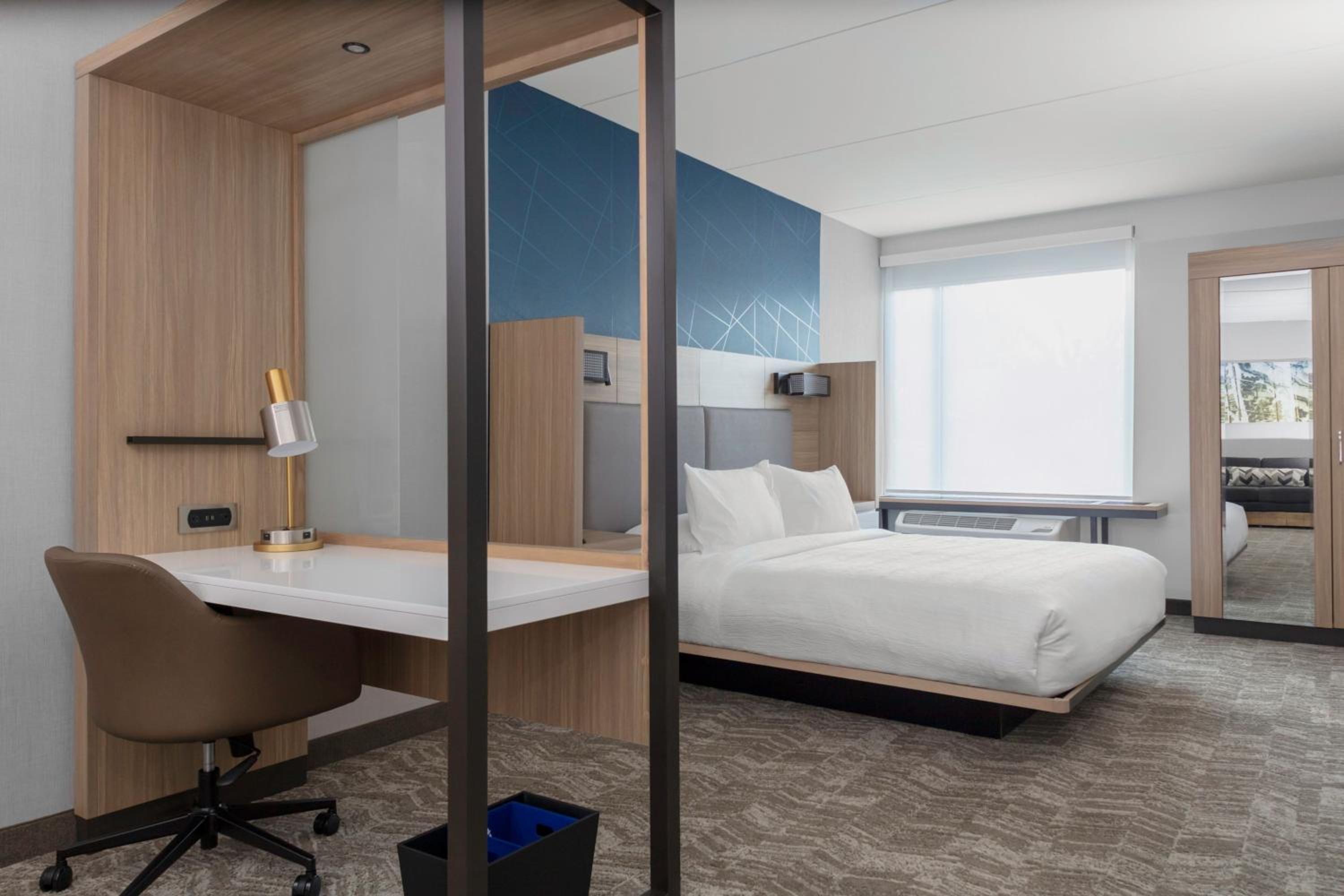 King Suite with Sofa Bed