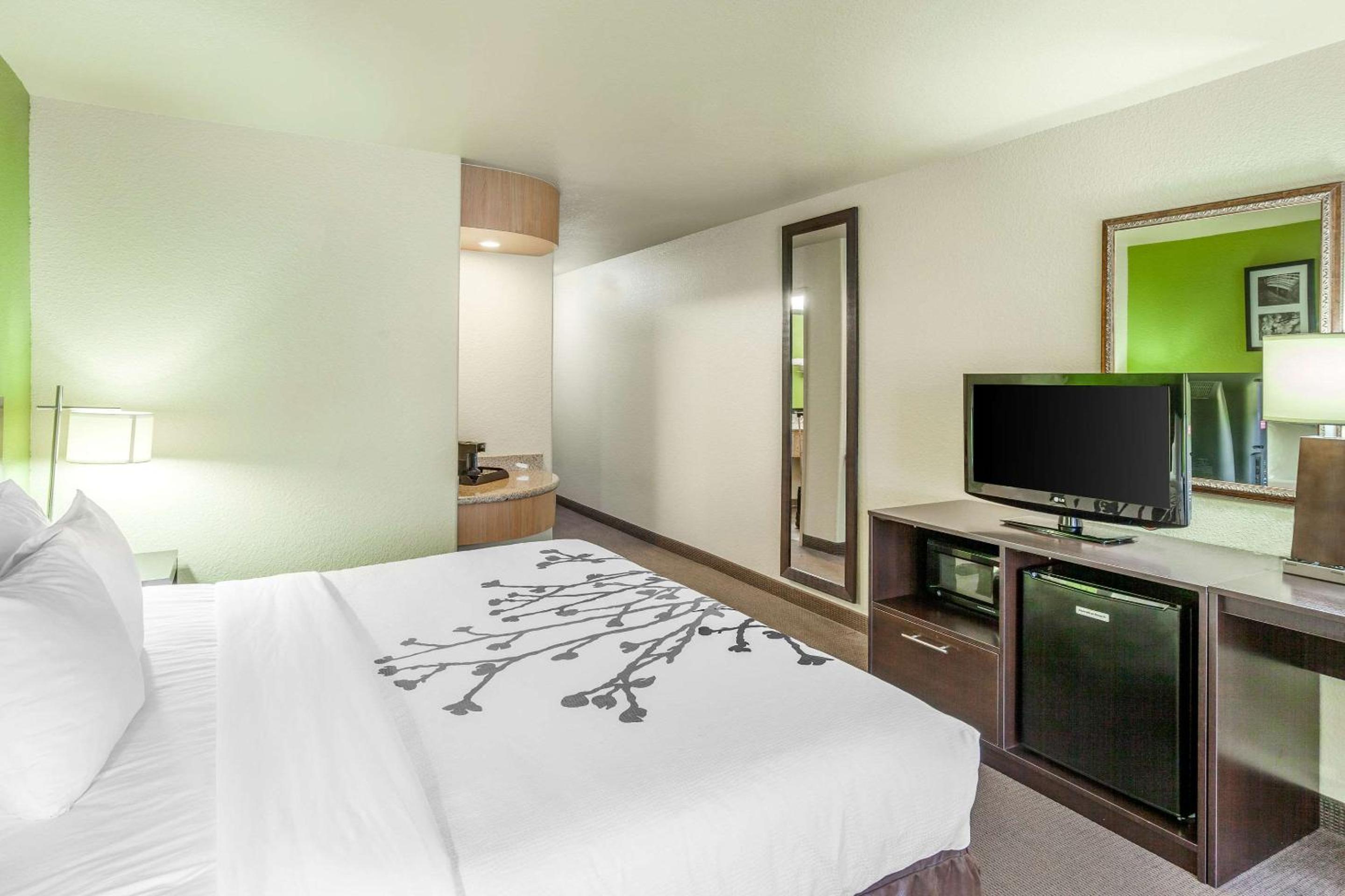 King Room - Non-Smoking