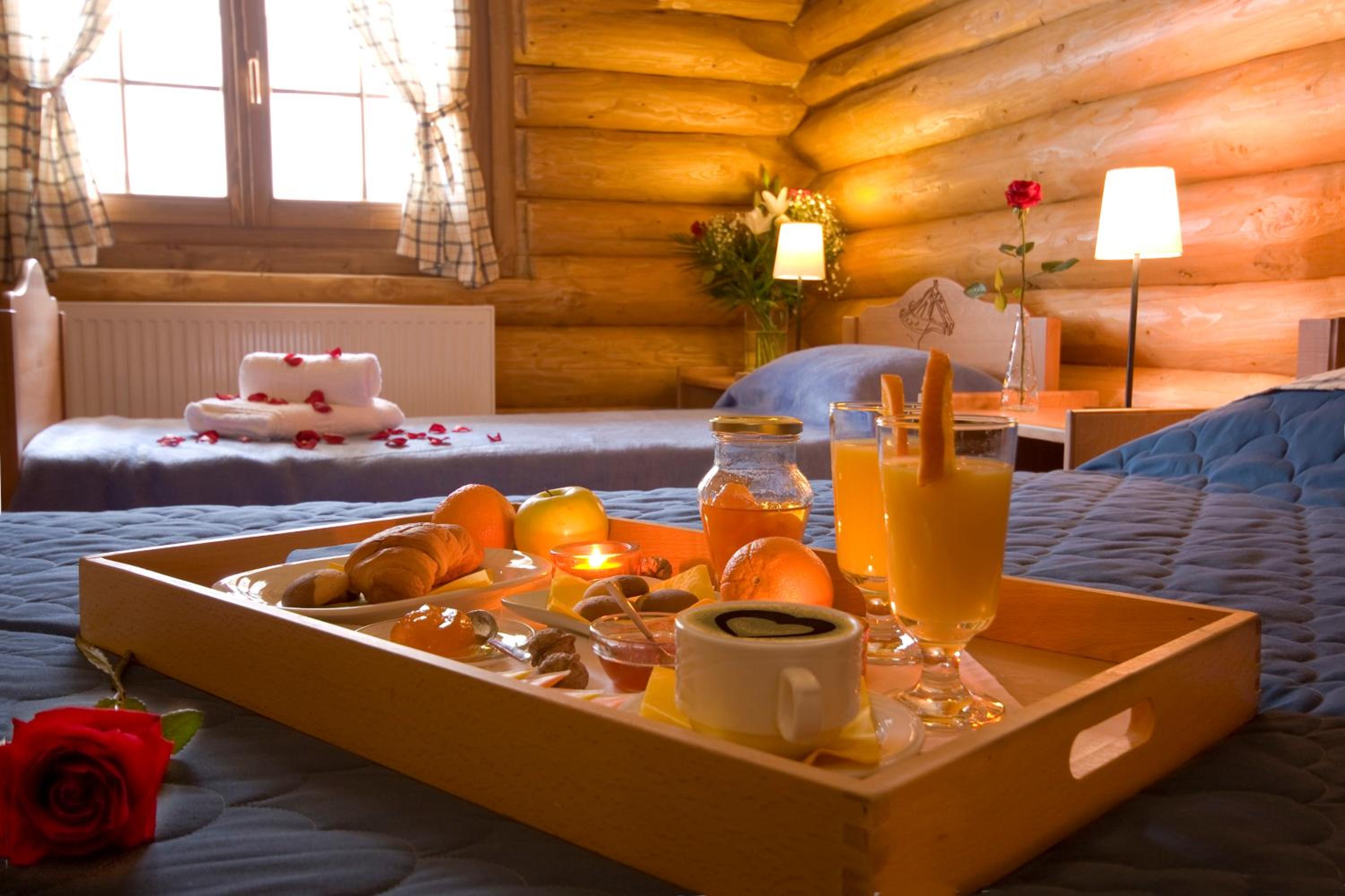 Chalet with fireplace