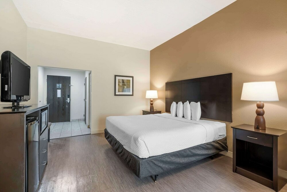 Suite, 1 King Bed, Accessible, Non Smoking (with Sofabed)