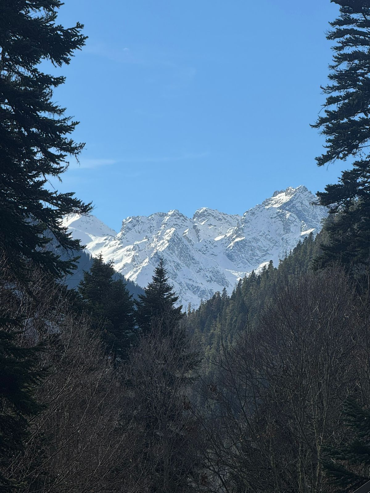 Стандарт с балконом