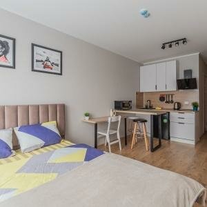 Студия комфорт 25 кв.м.