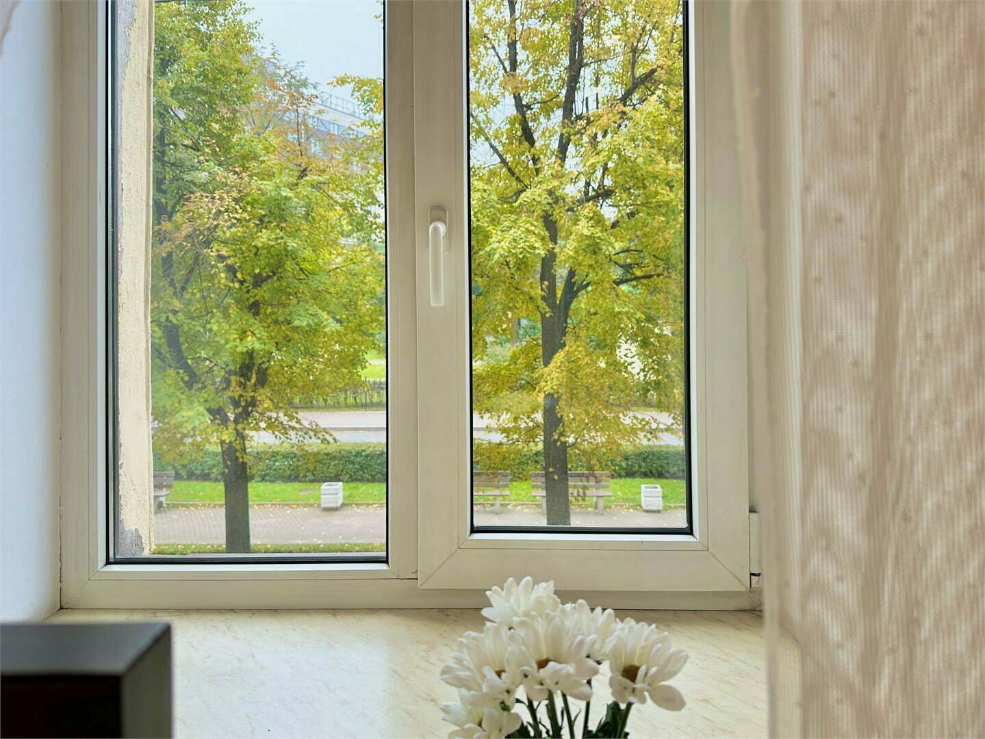 Стандарт (twin)