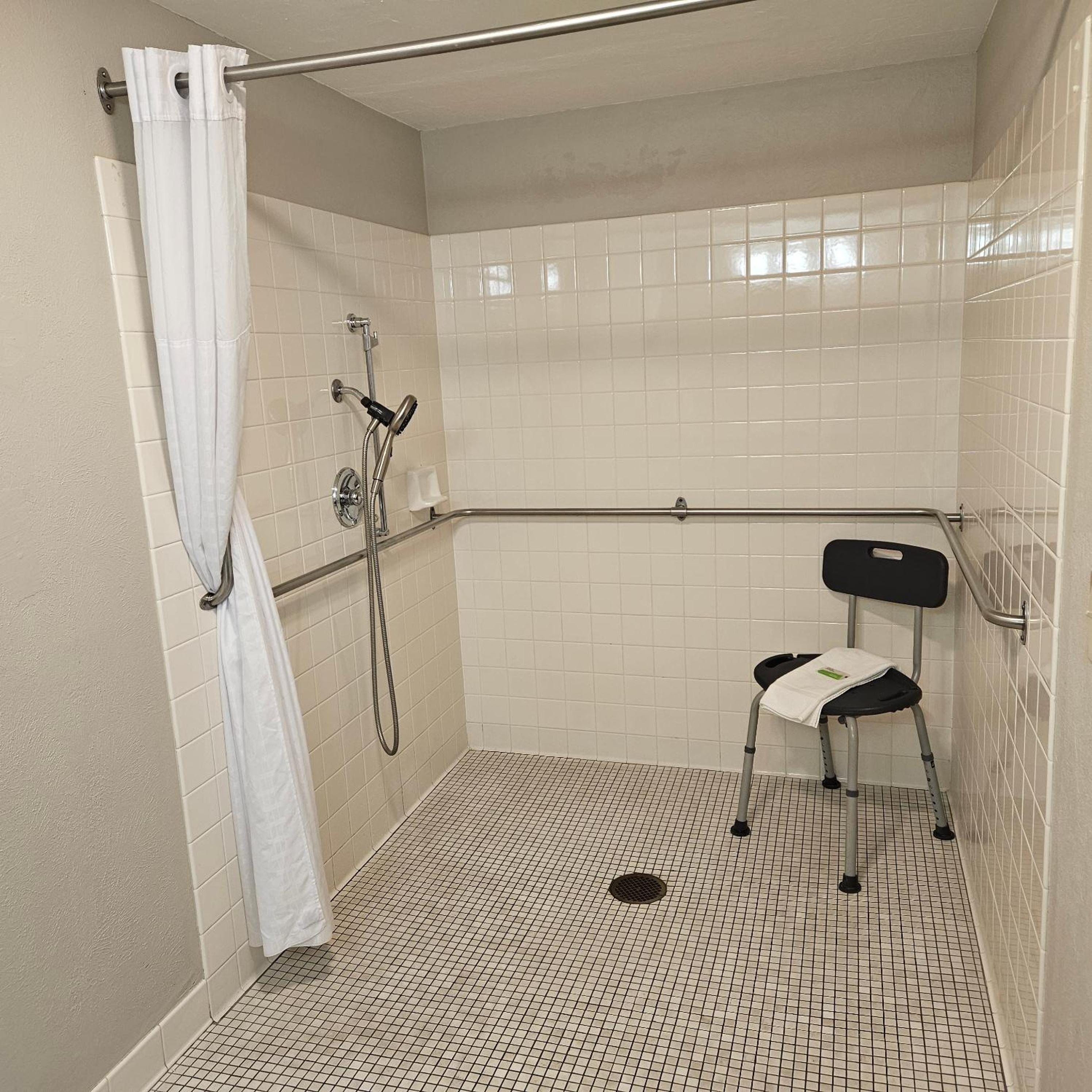 King Room with Roll-in Shower - Mobility Access/Non-Smoking