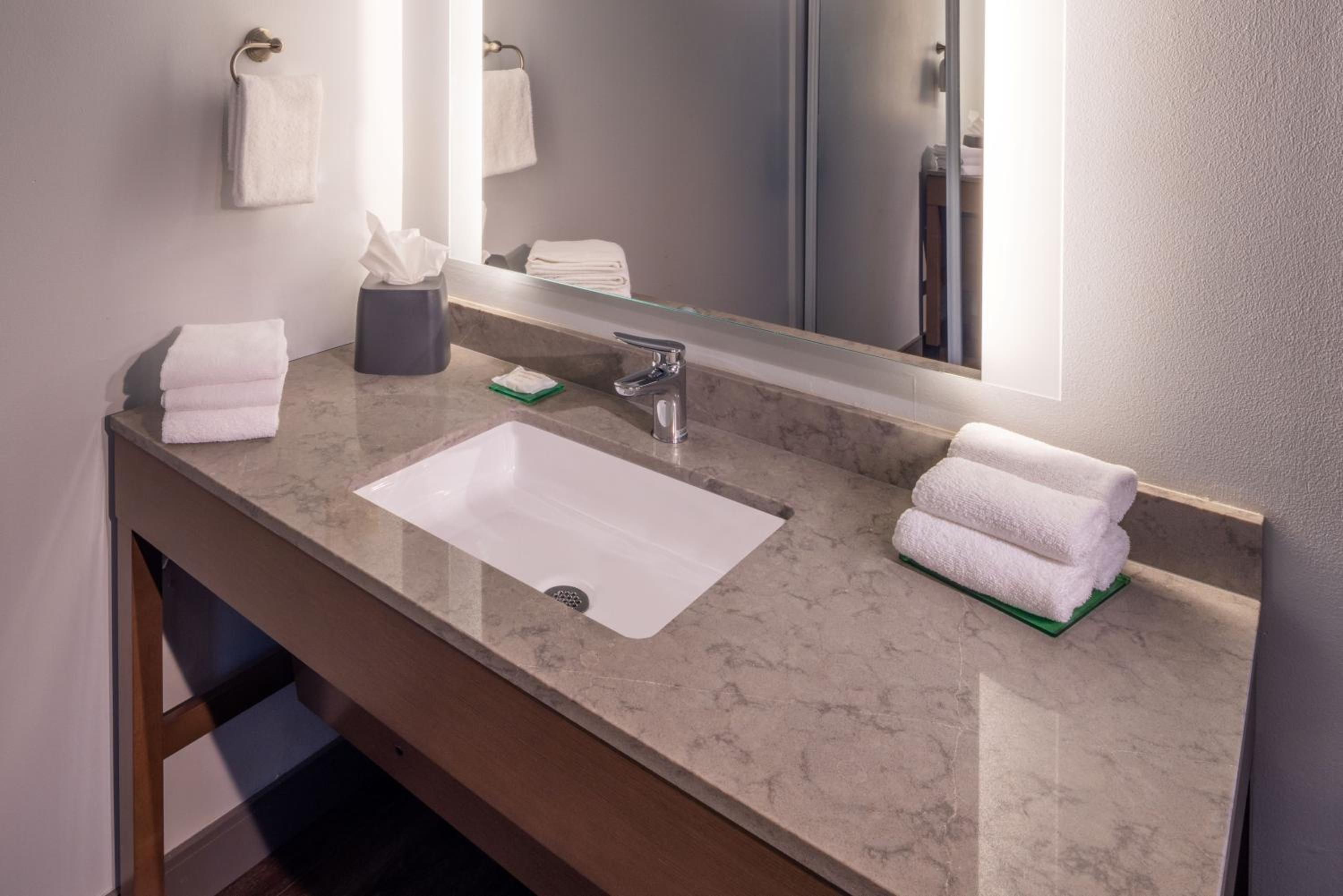 King Room with Sofa Bed and Roll-In Shower - Disability Access