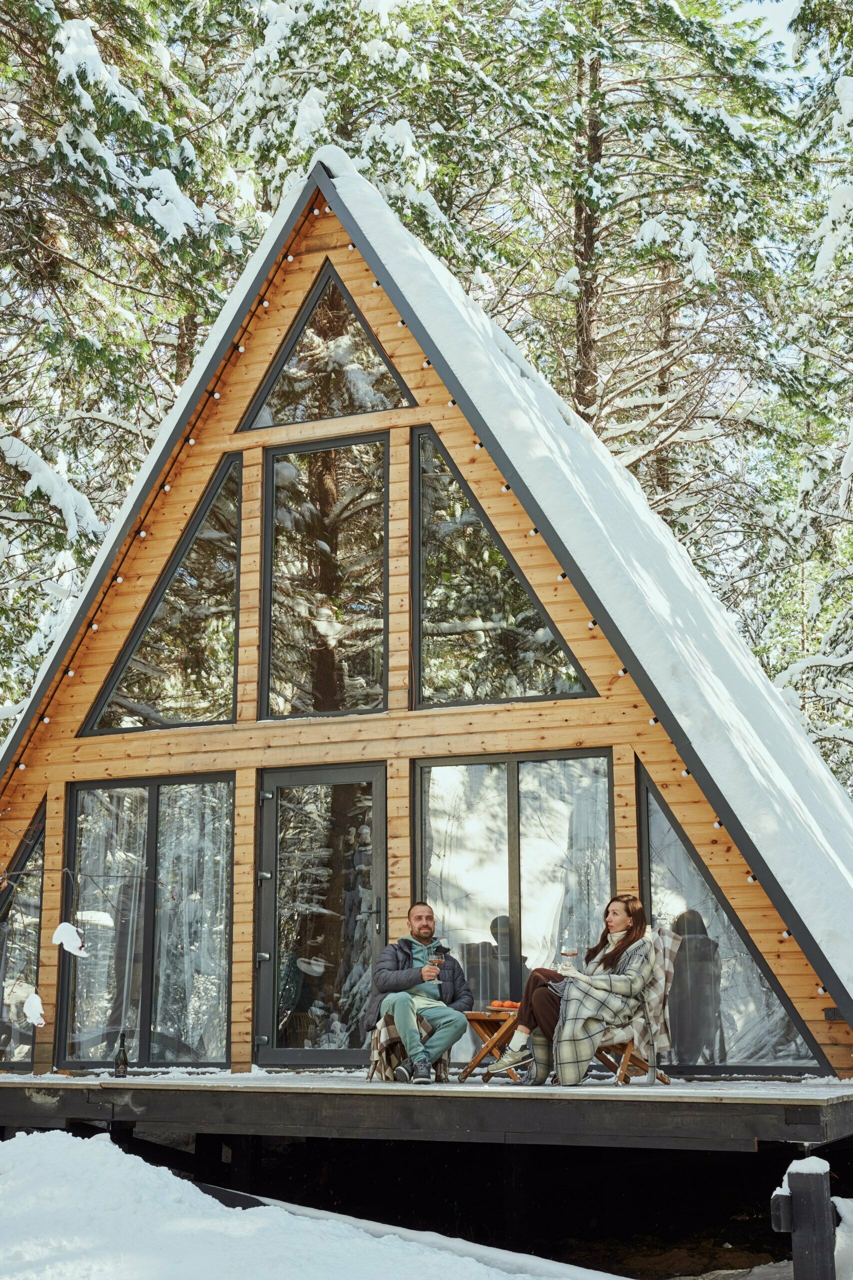 Дом с видом на лес