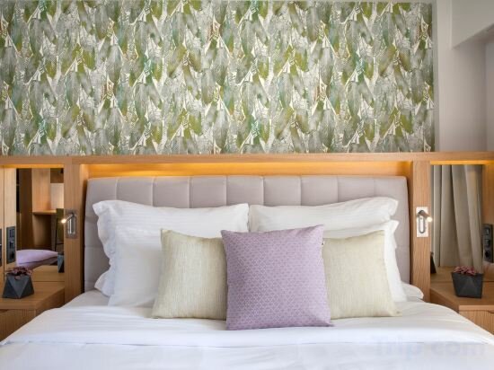 Deluxe Room with Mountain View