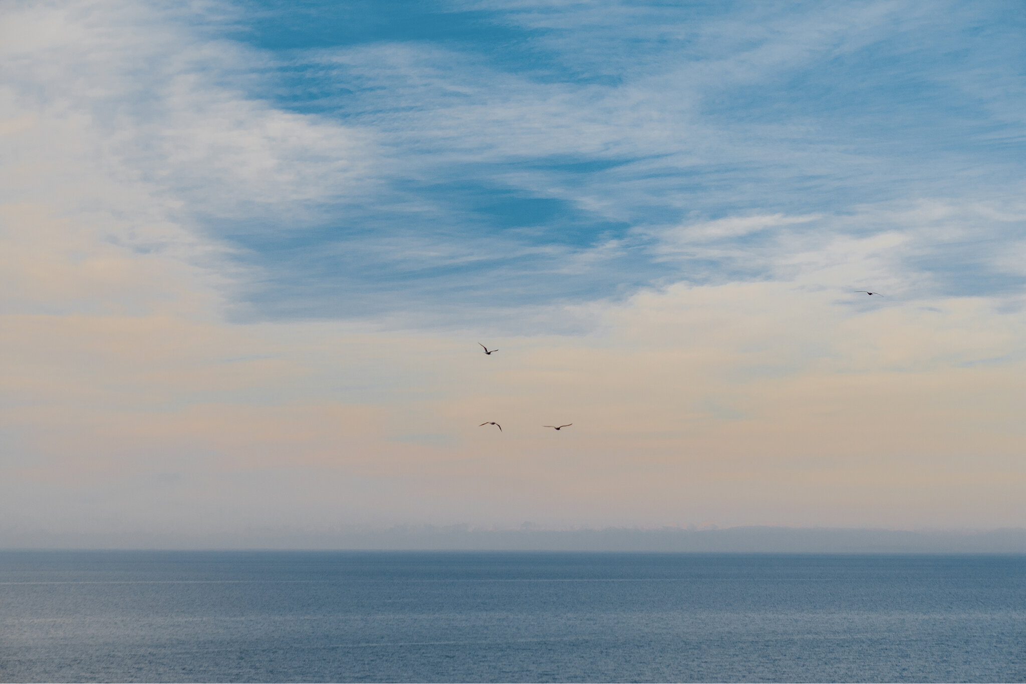 Панорамный люкс с 1 спальней