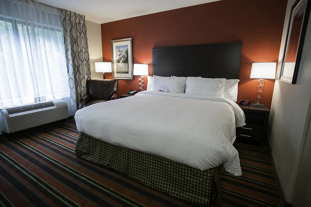 Room, 1 King Bed