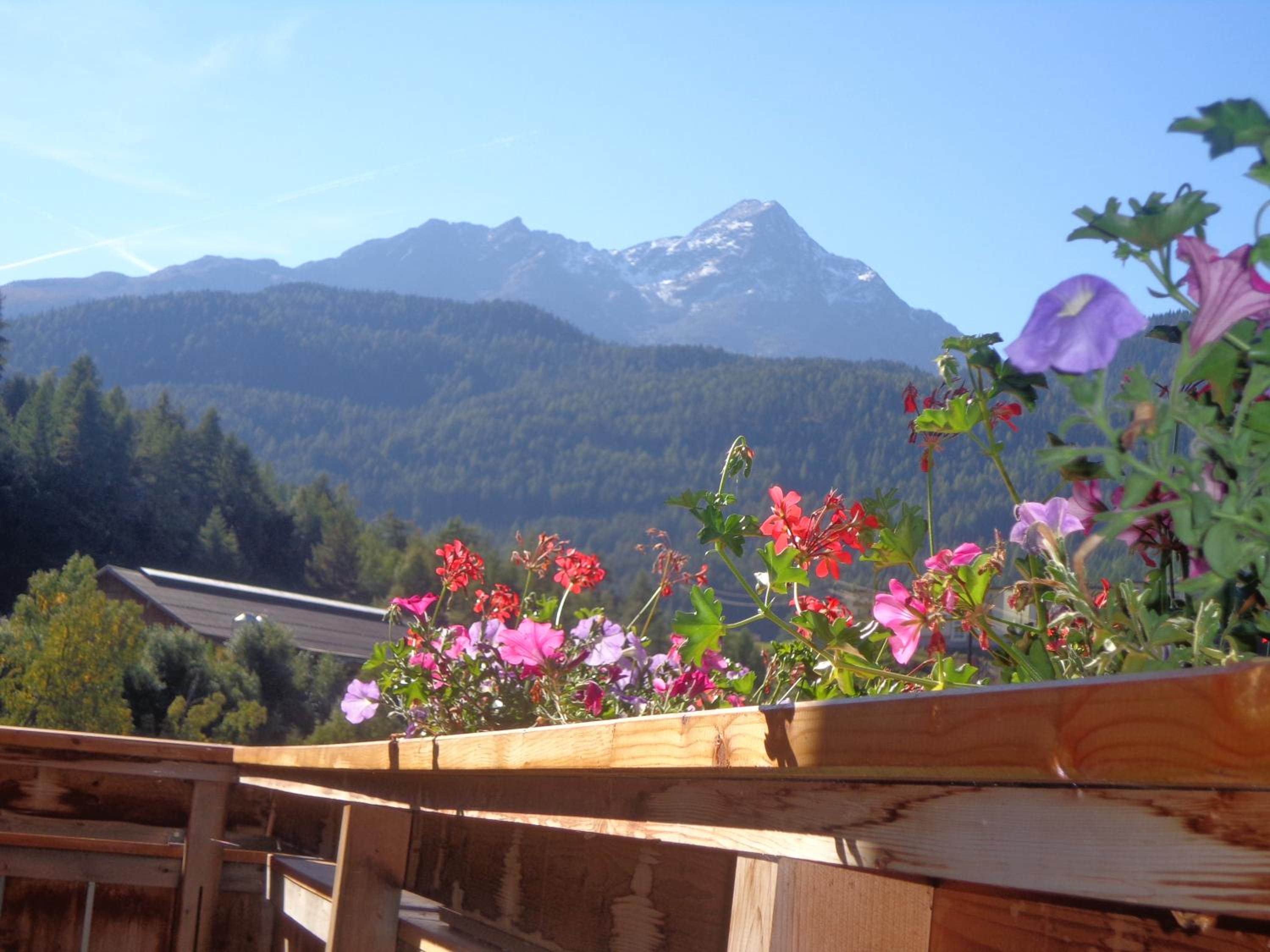 Five-Bedroom Apartment