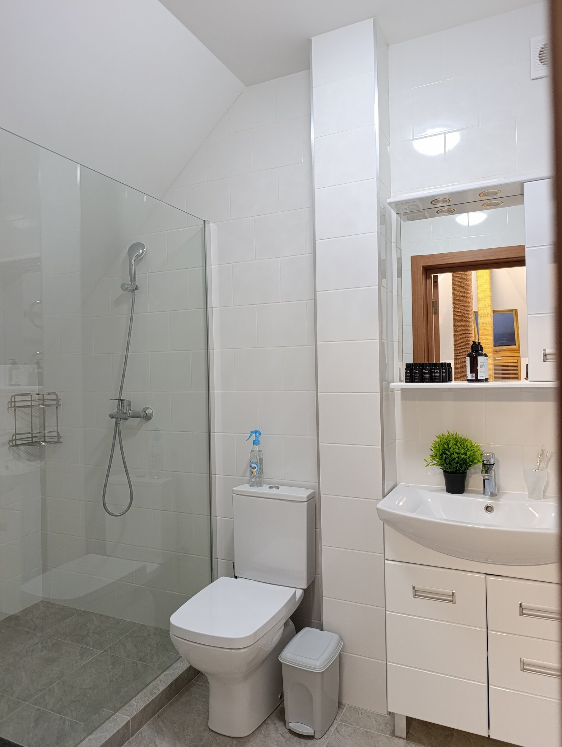 Семейный двухместный номер с 1 кроватью