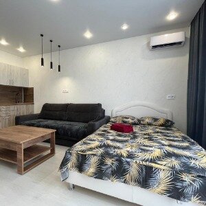 Однокомнатные апартаменты (1 двуспальная кровать)