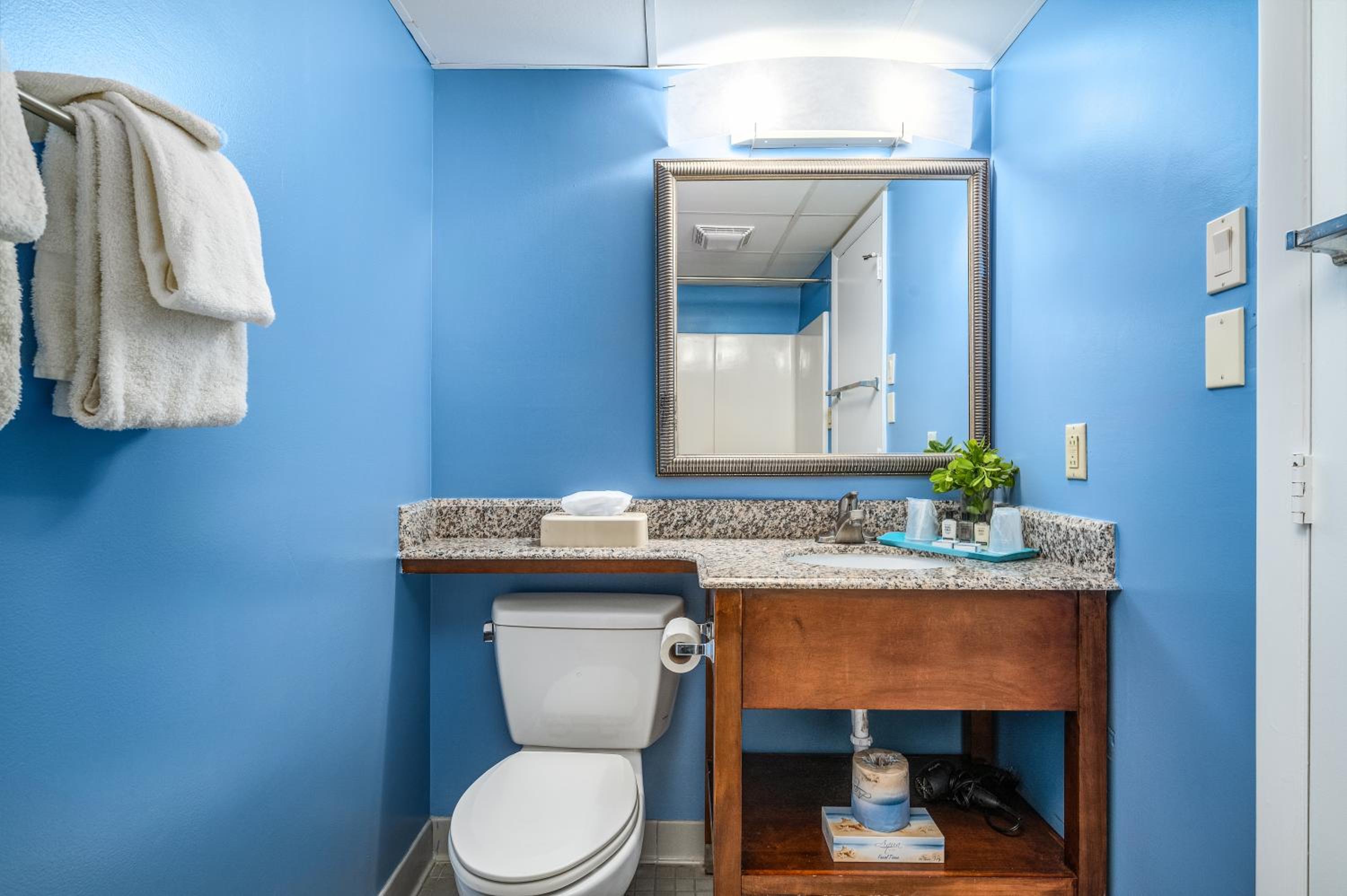 King Suite-No Pets Allowed